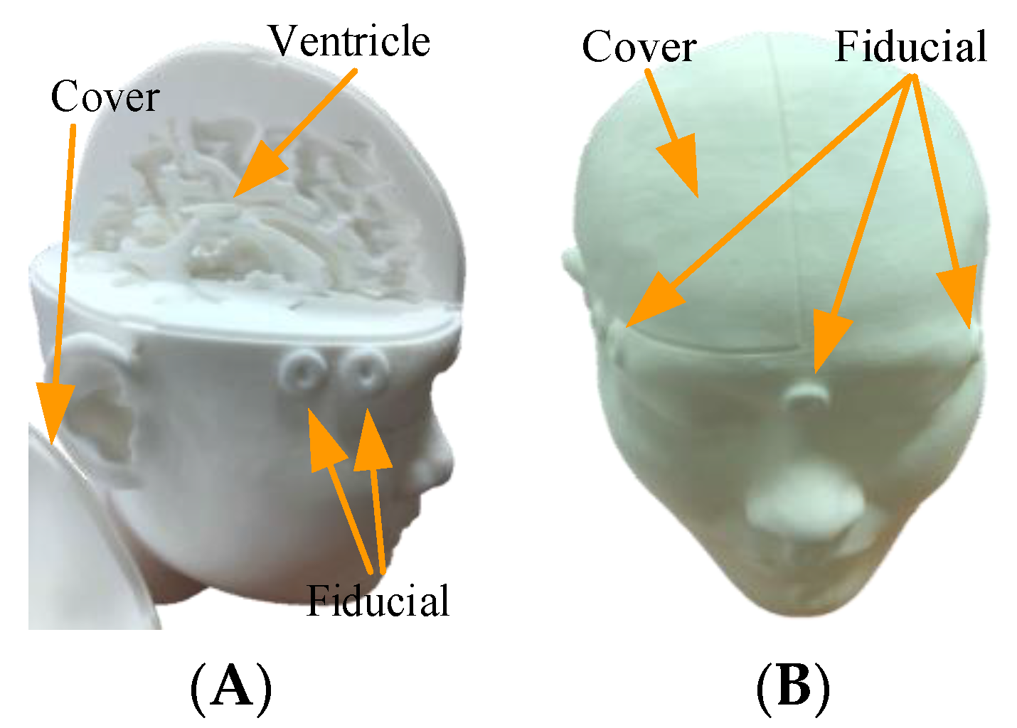 Healthcare 10 01815 g007 550