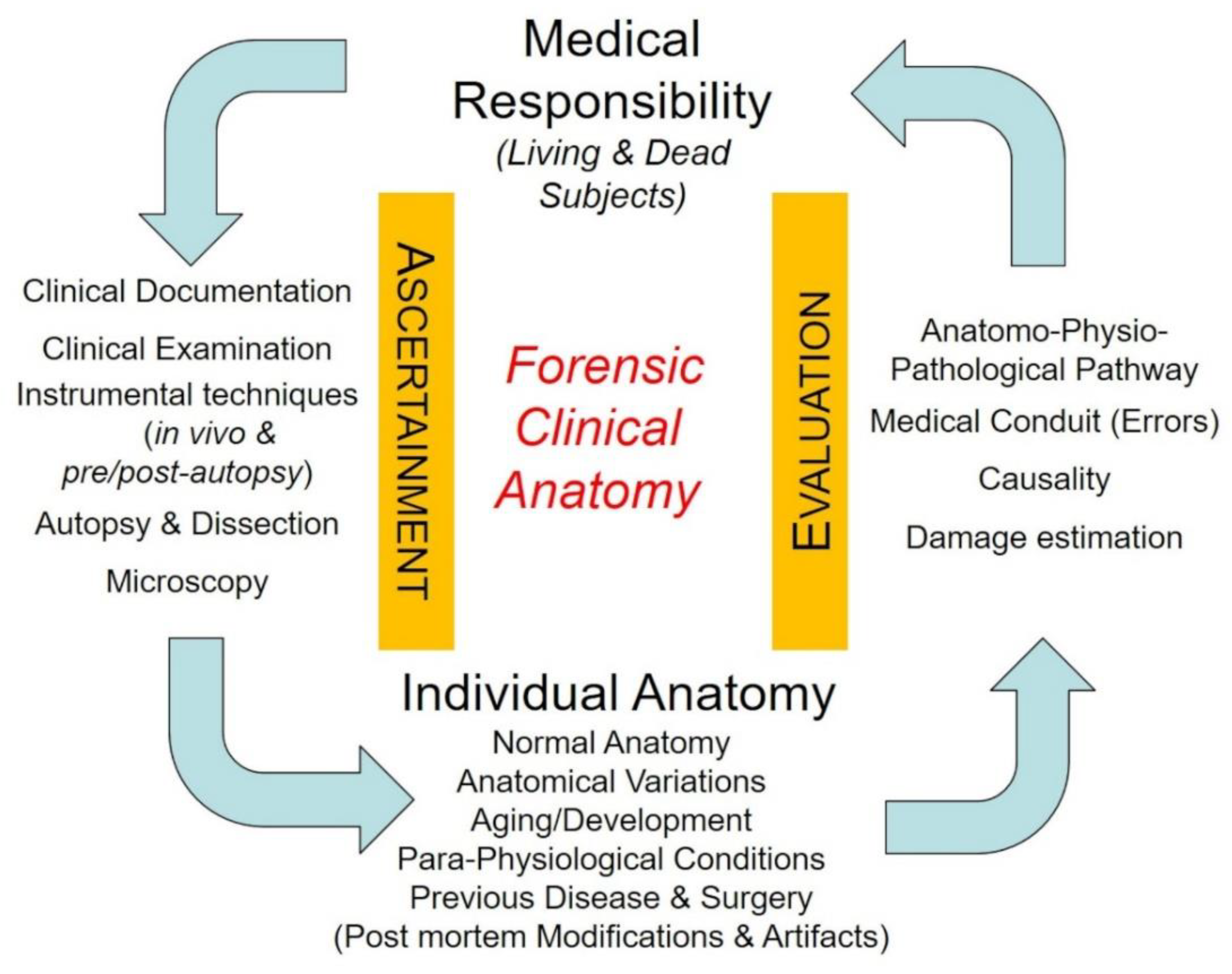 medical malpractice essay