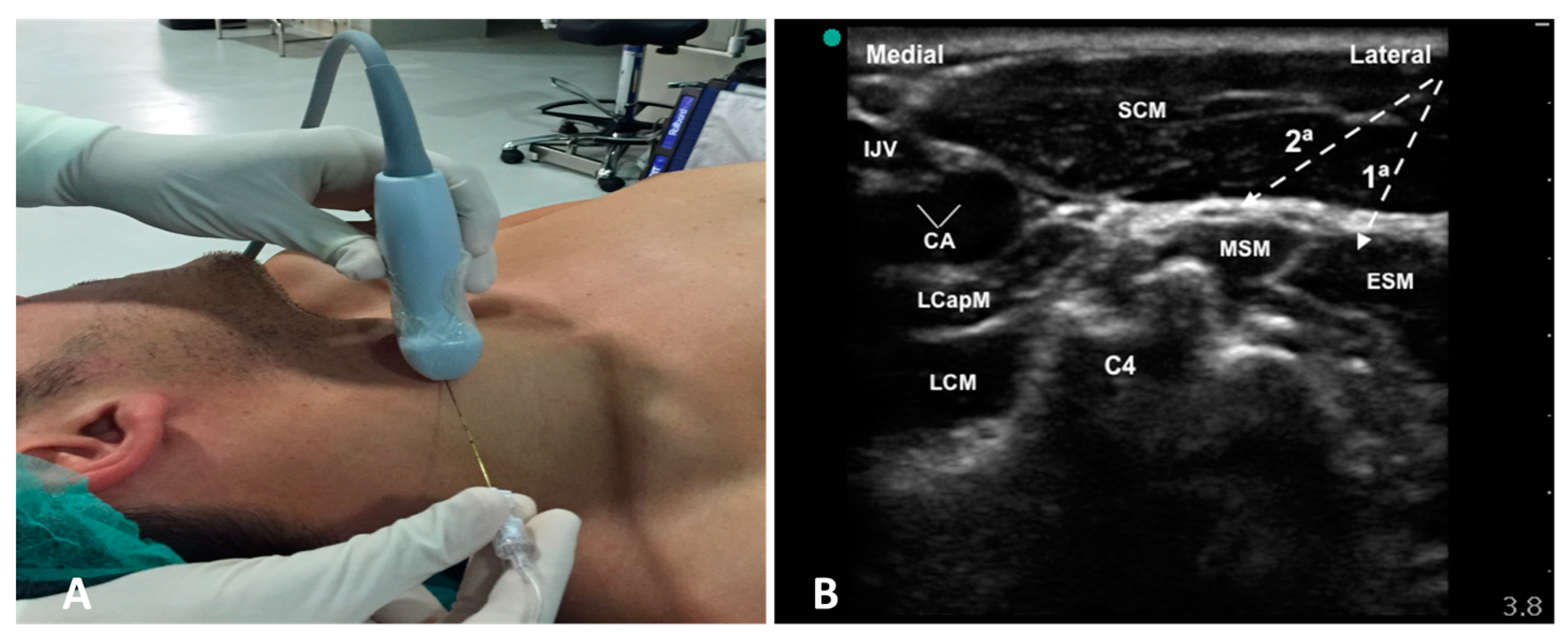 Healthcare 10 01986 g001 Healthcare 10 01986 g001