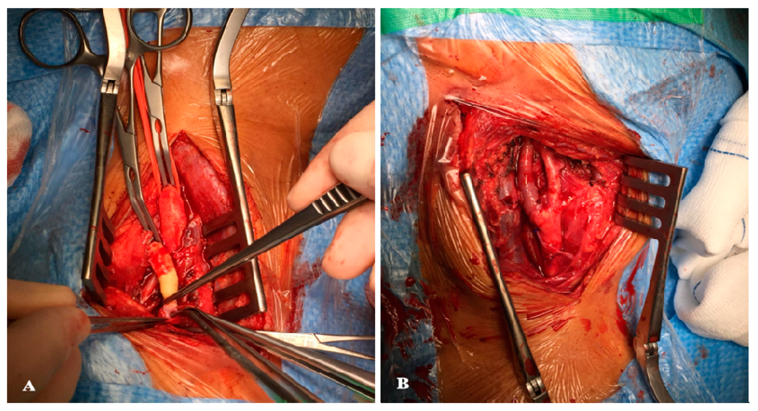 Healthcare 10 01986 g002 Healthcare 10 01986 g002