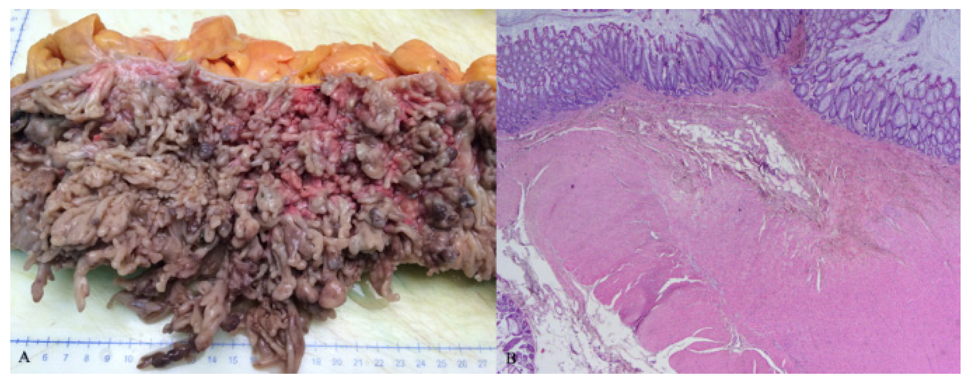 Healthcare 10 01995 g005