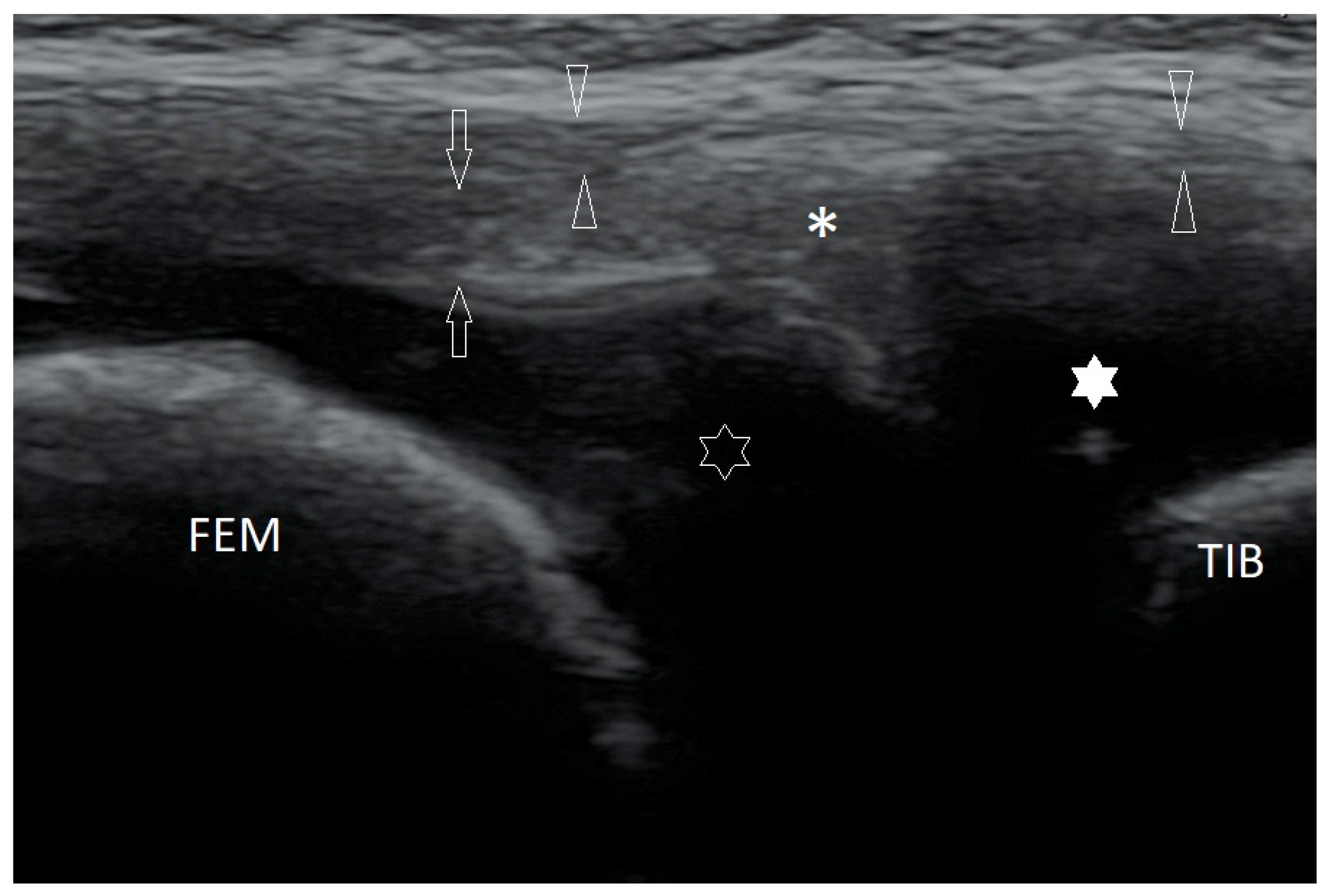 Healthcare 10 02010 g003 Healthcare 10 02010 g003