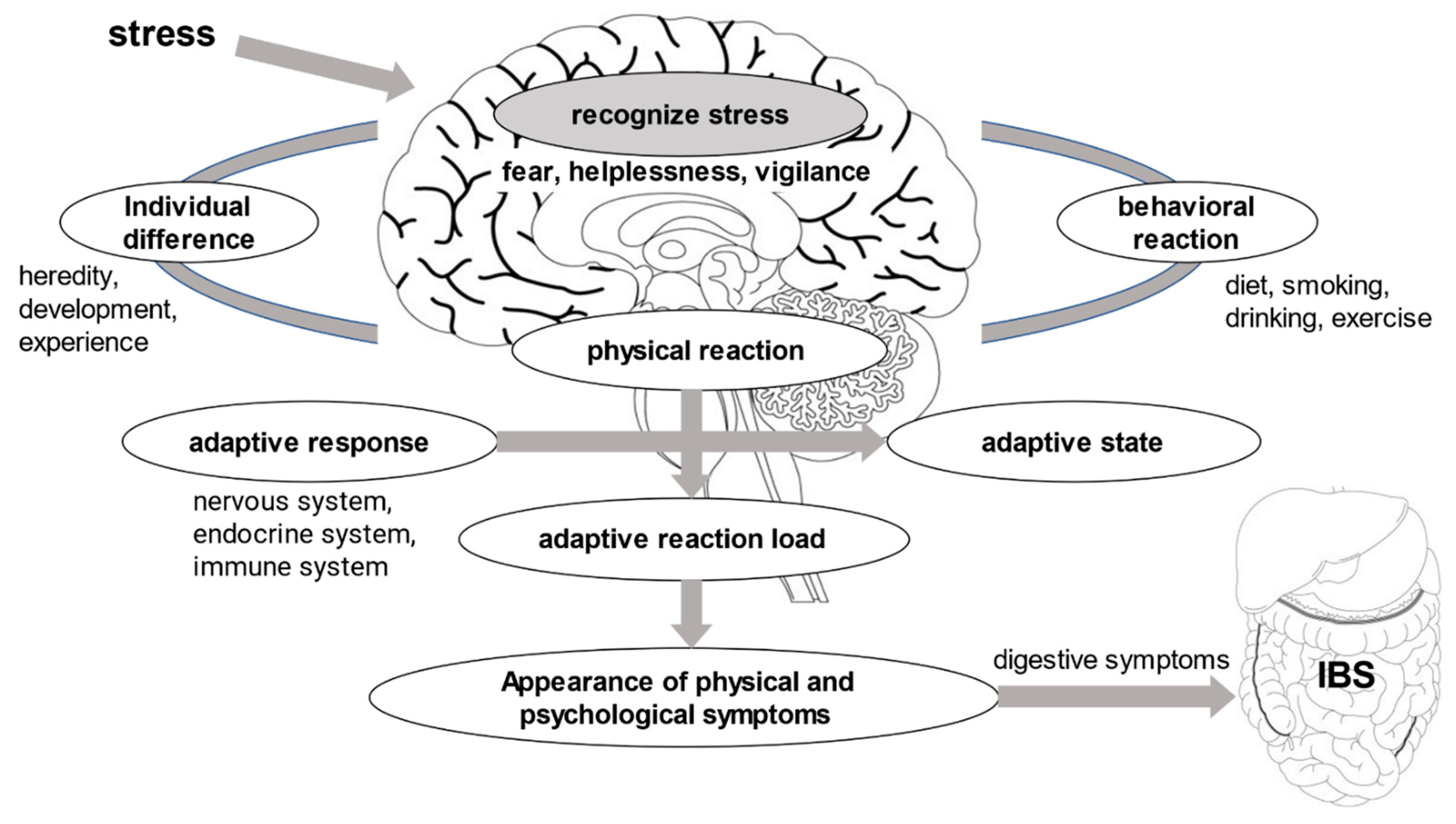 Healthcare 10 02011 g001 Healthcare 10 02011 g001