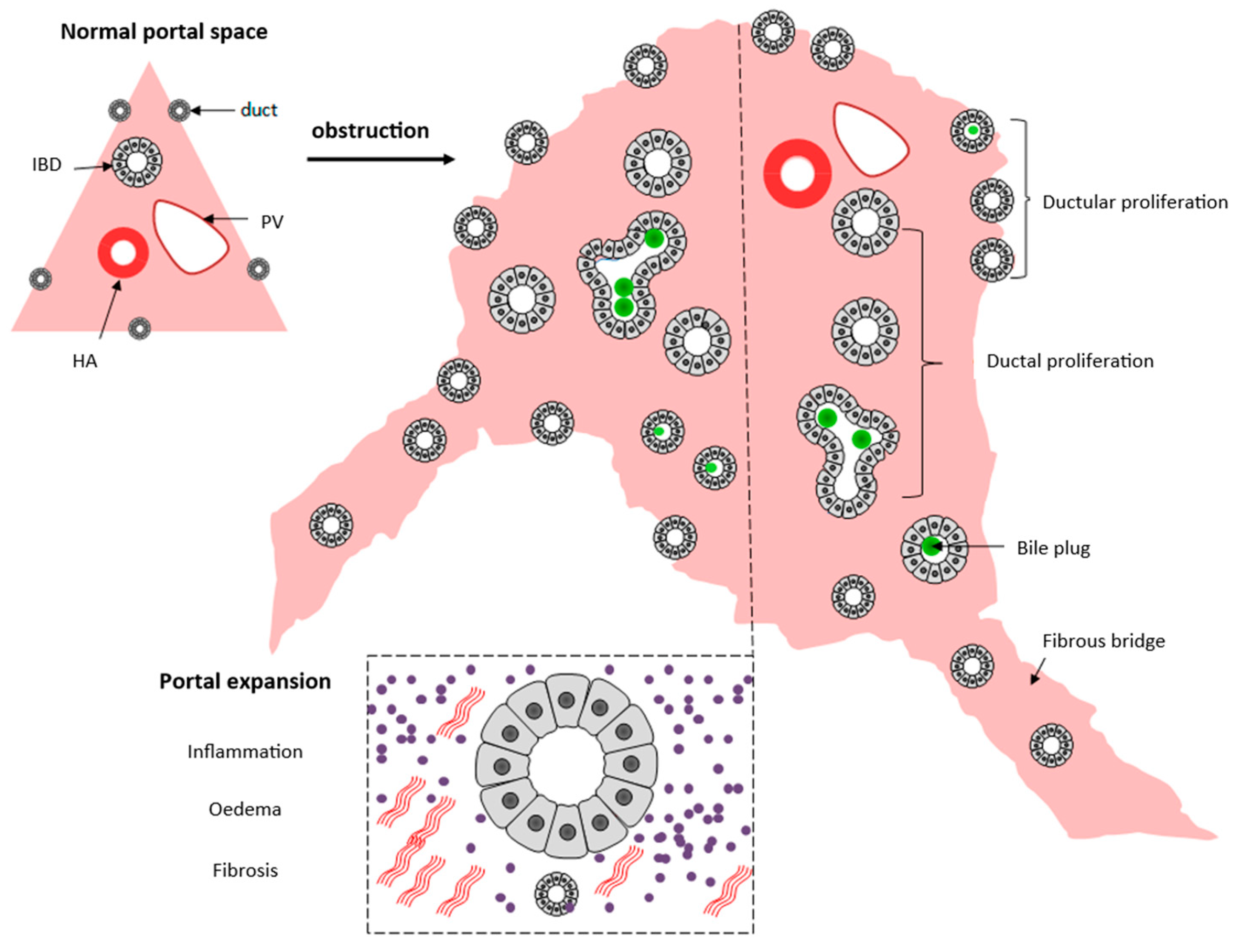 Healthcare 10 02012 g002 Healthcare 10 02012 g002