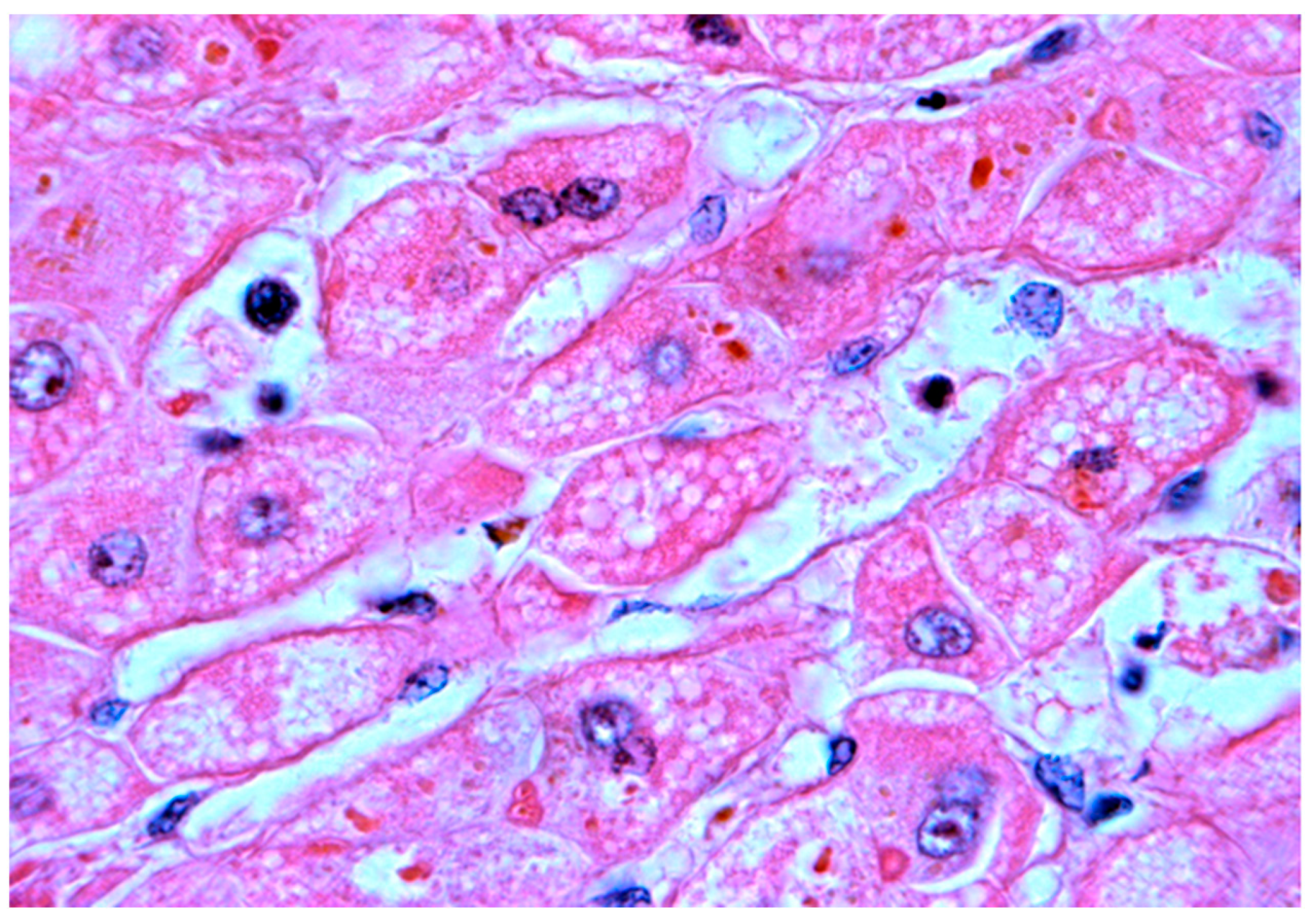 Healthcare 10 02012 g009 Healthcare 10 02012 g009