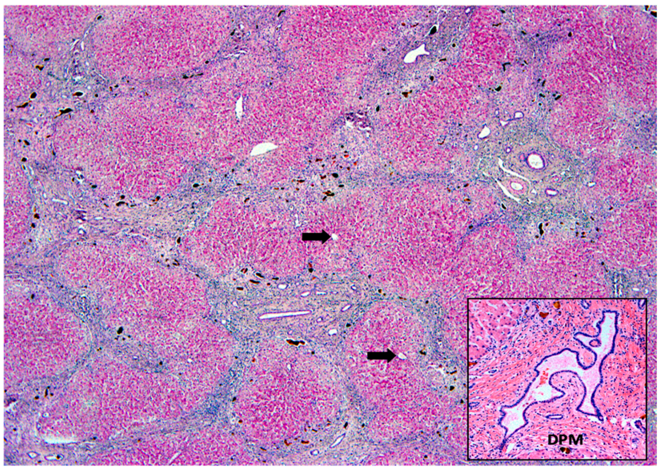 Healthcare 10 02012 g010 Healthcare 10 02012 g010