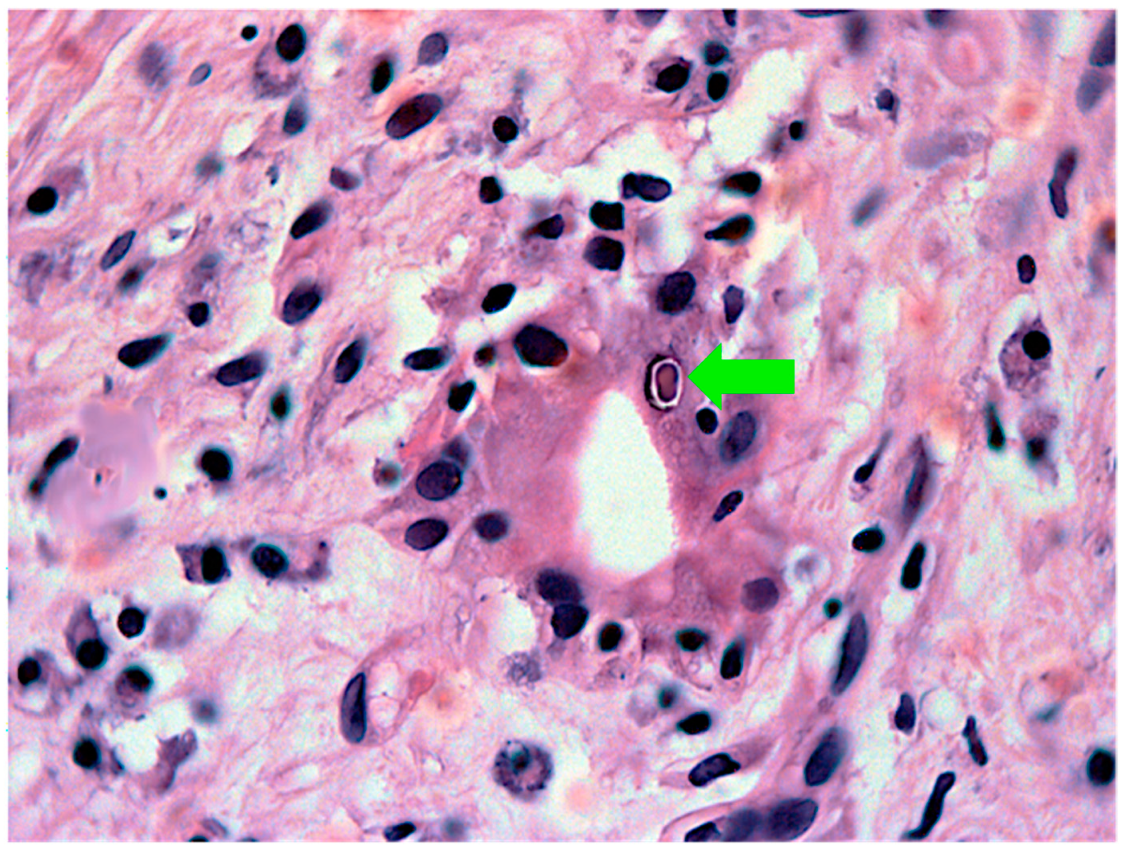 Healthcare 10 02012 g011 Healthcare 10 02012 g011