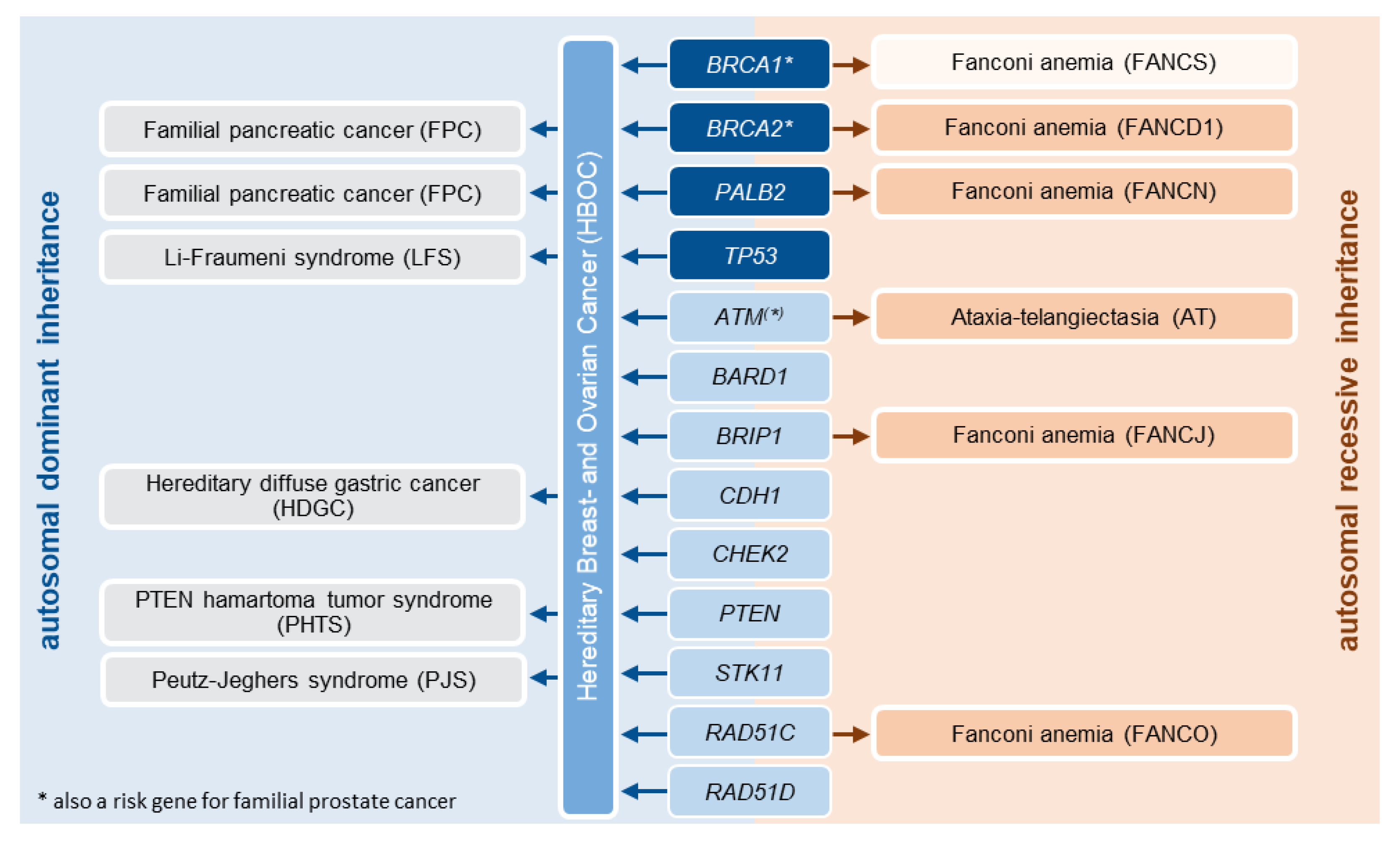 Healthcare 10 02021 g004 Healthcare 10 02021 g004