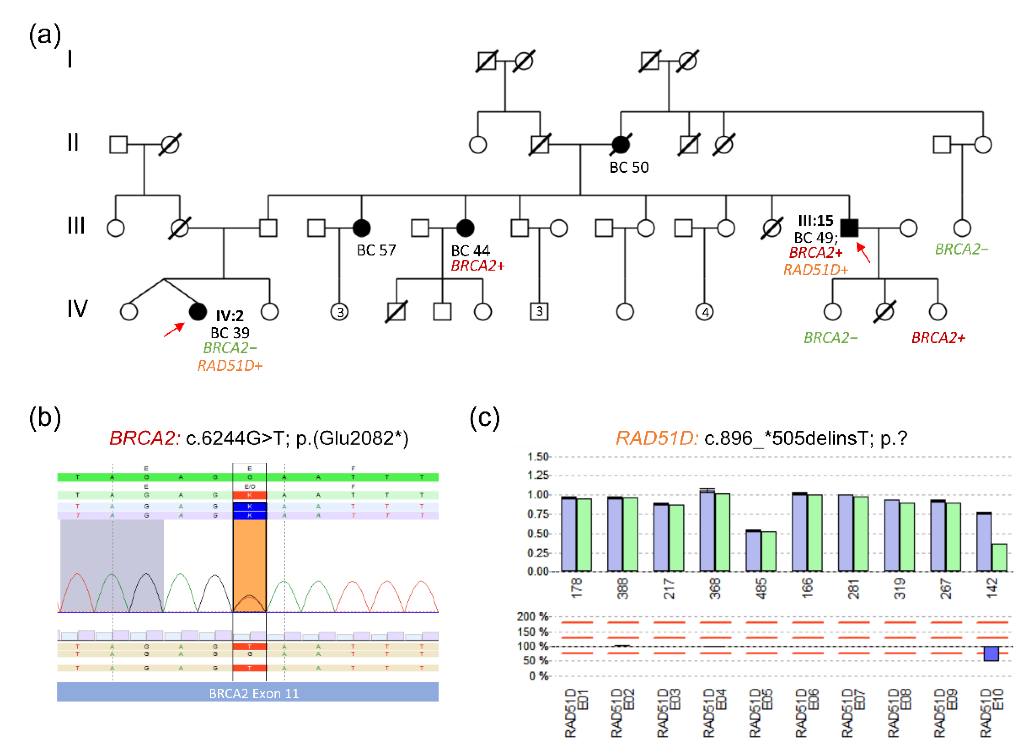 Healthcare 10 02021 g006 Healthcare 10 02021 g006
