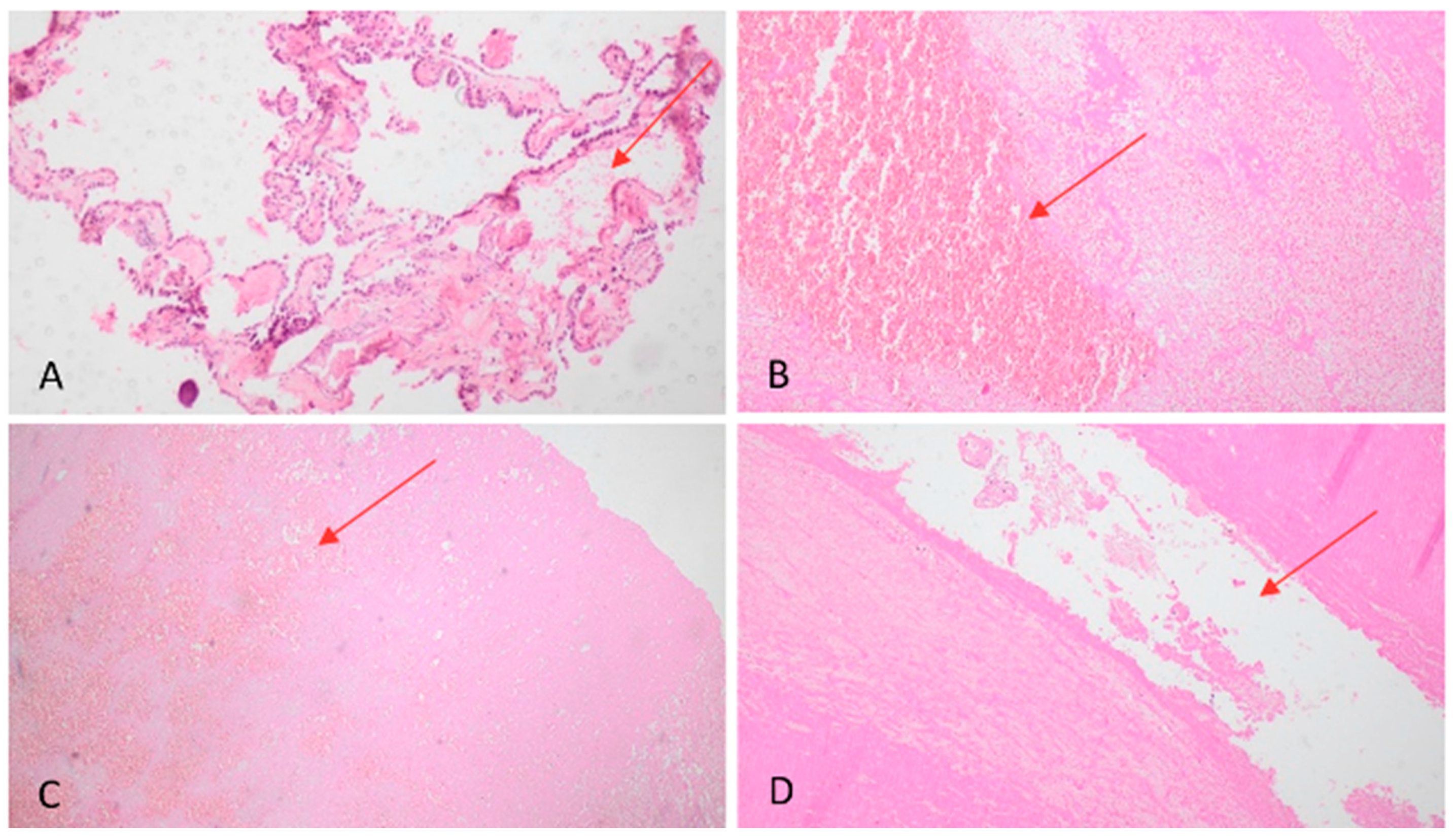 Healthcare 10 02053 g002