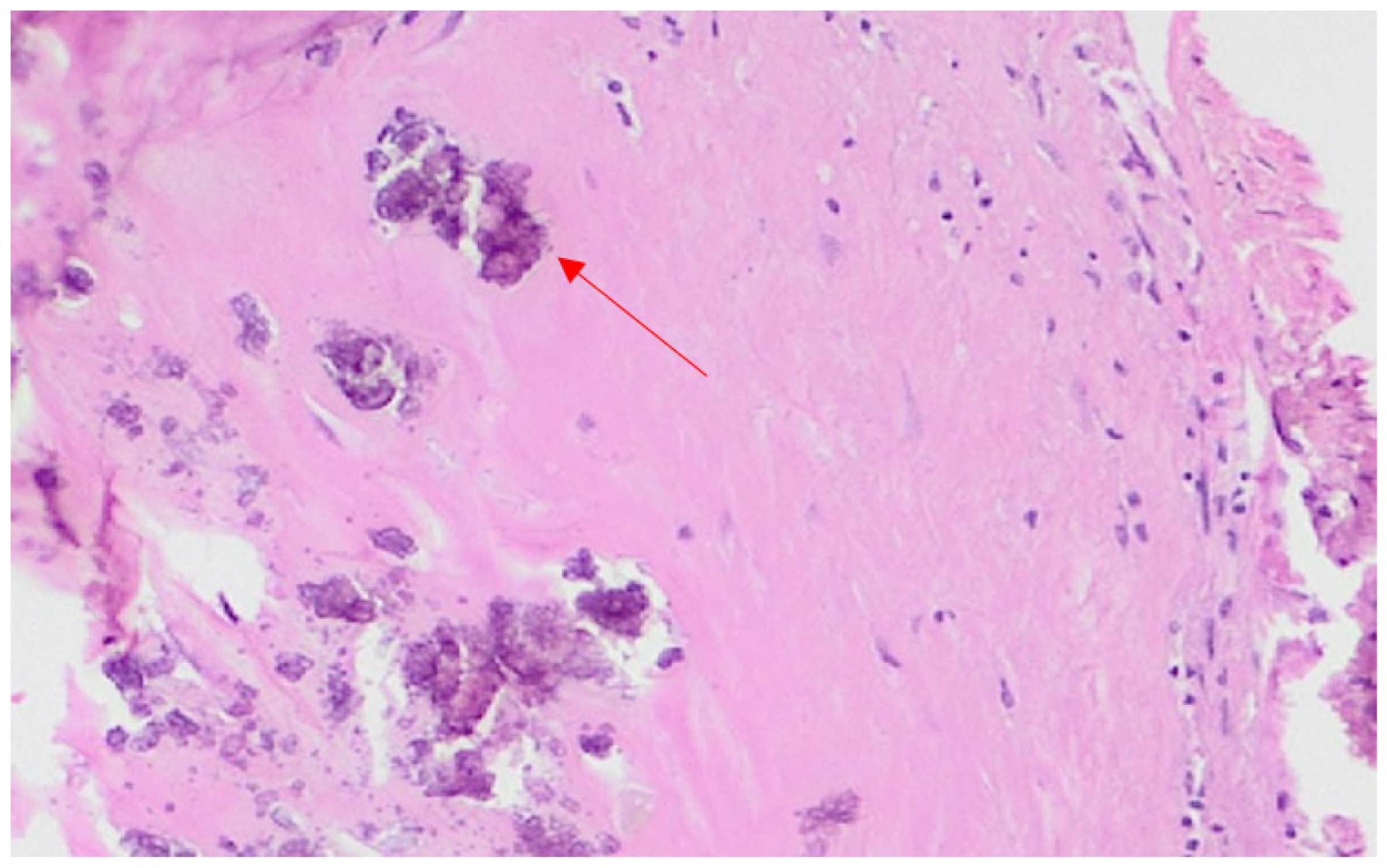 Healthcare 10 02053 g003