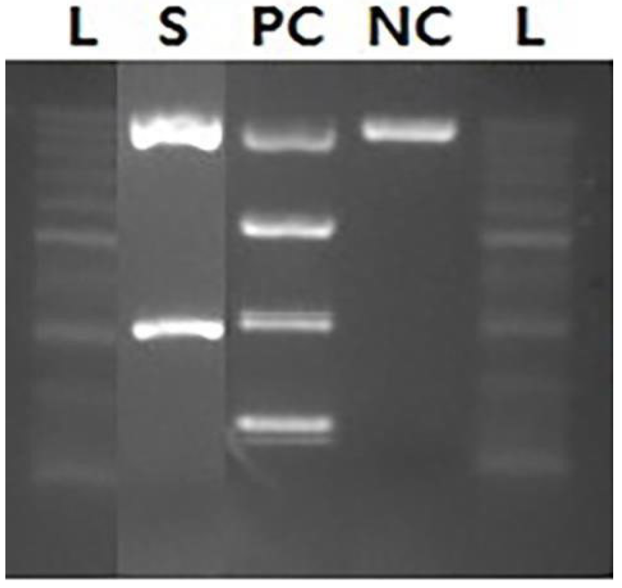 Healthcare 10 02063 g003