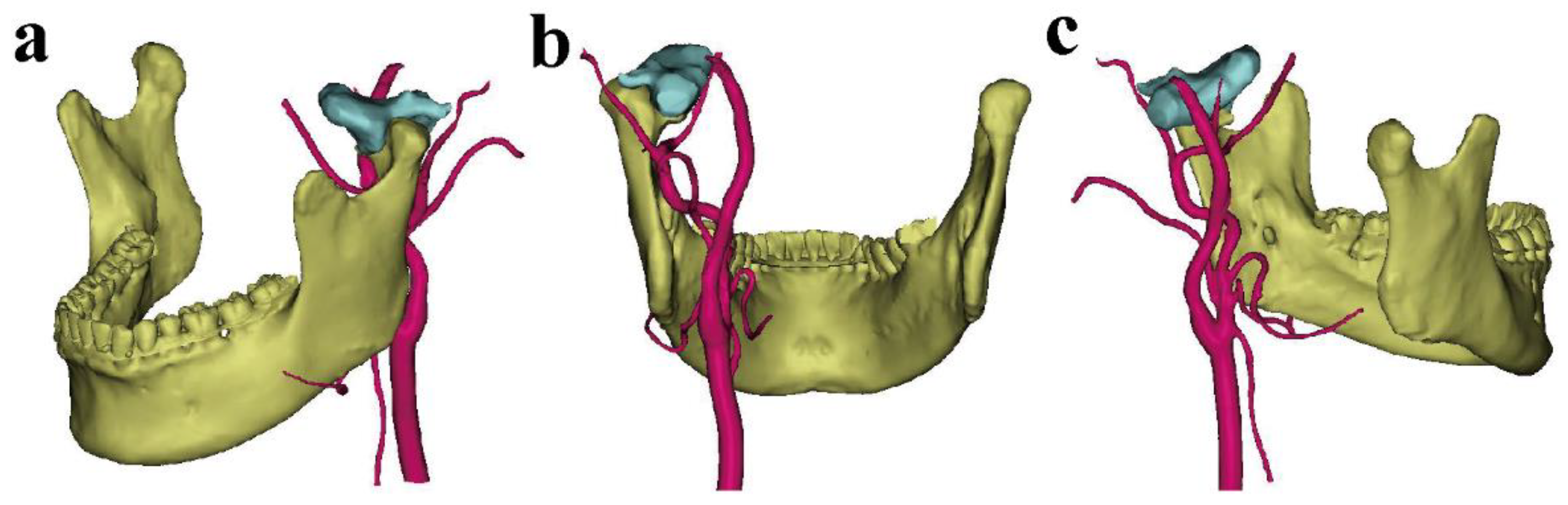 Healthcare 10 02163 g001 Healthcare 10 02163 g001
