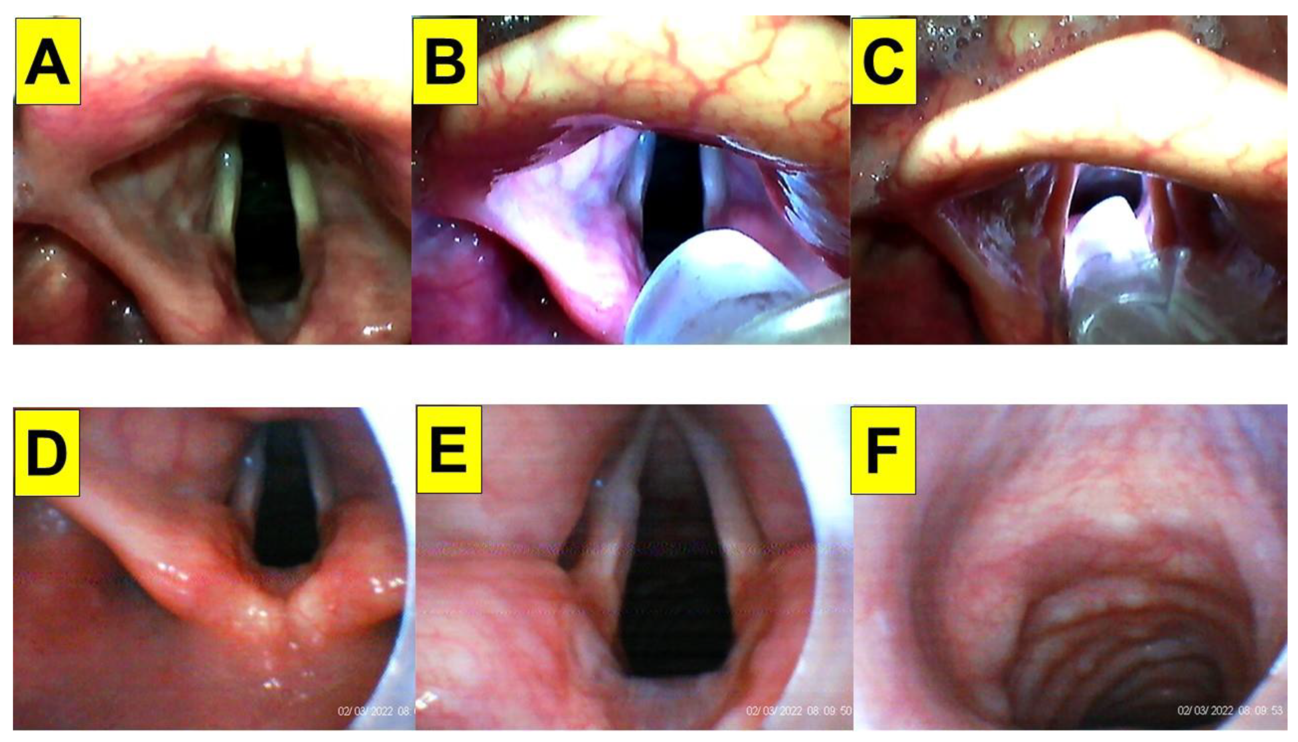 Healthcare 10 02175 g003