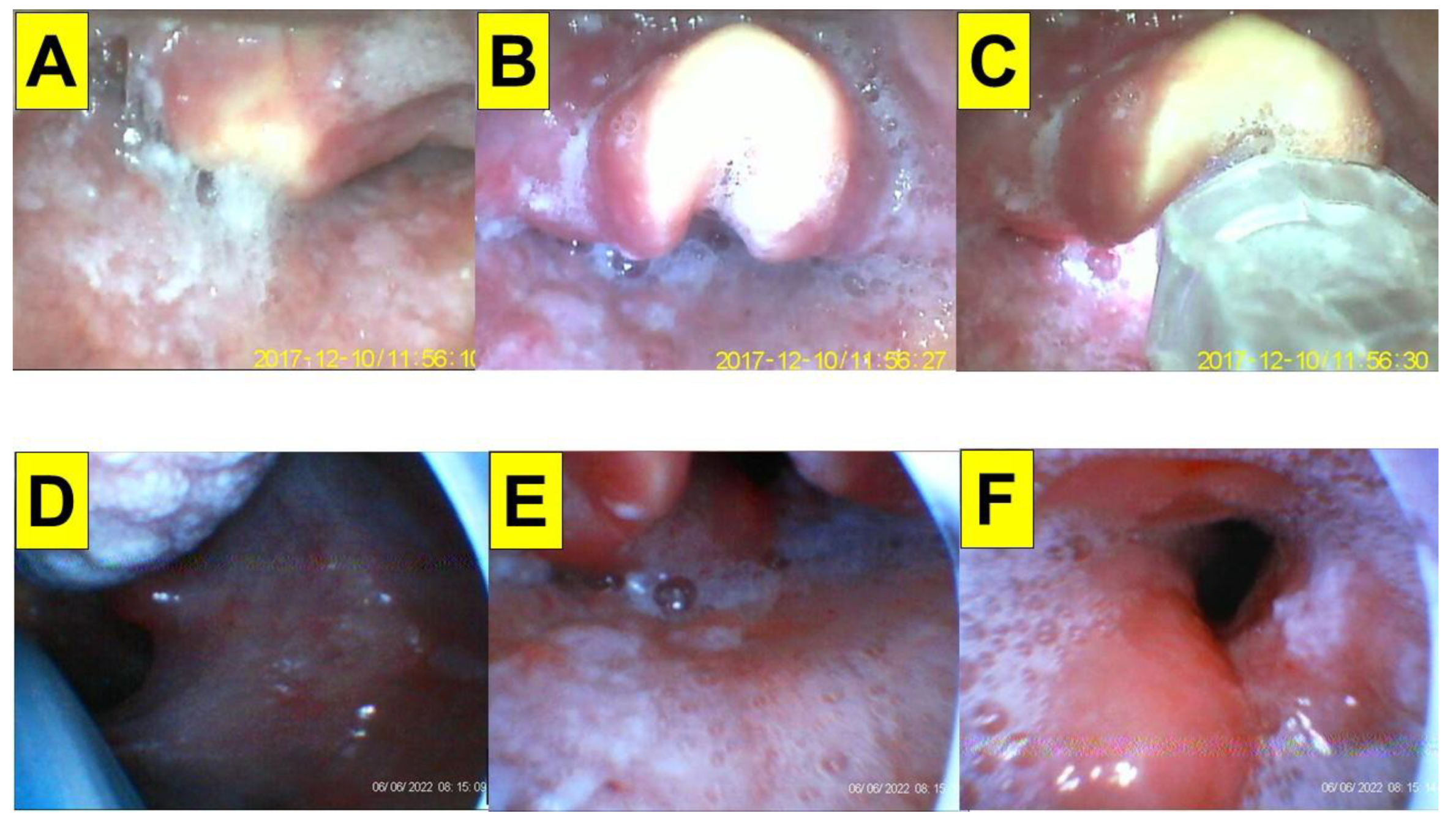Healthcare 10 02175 g004