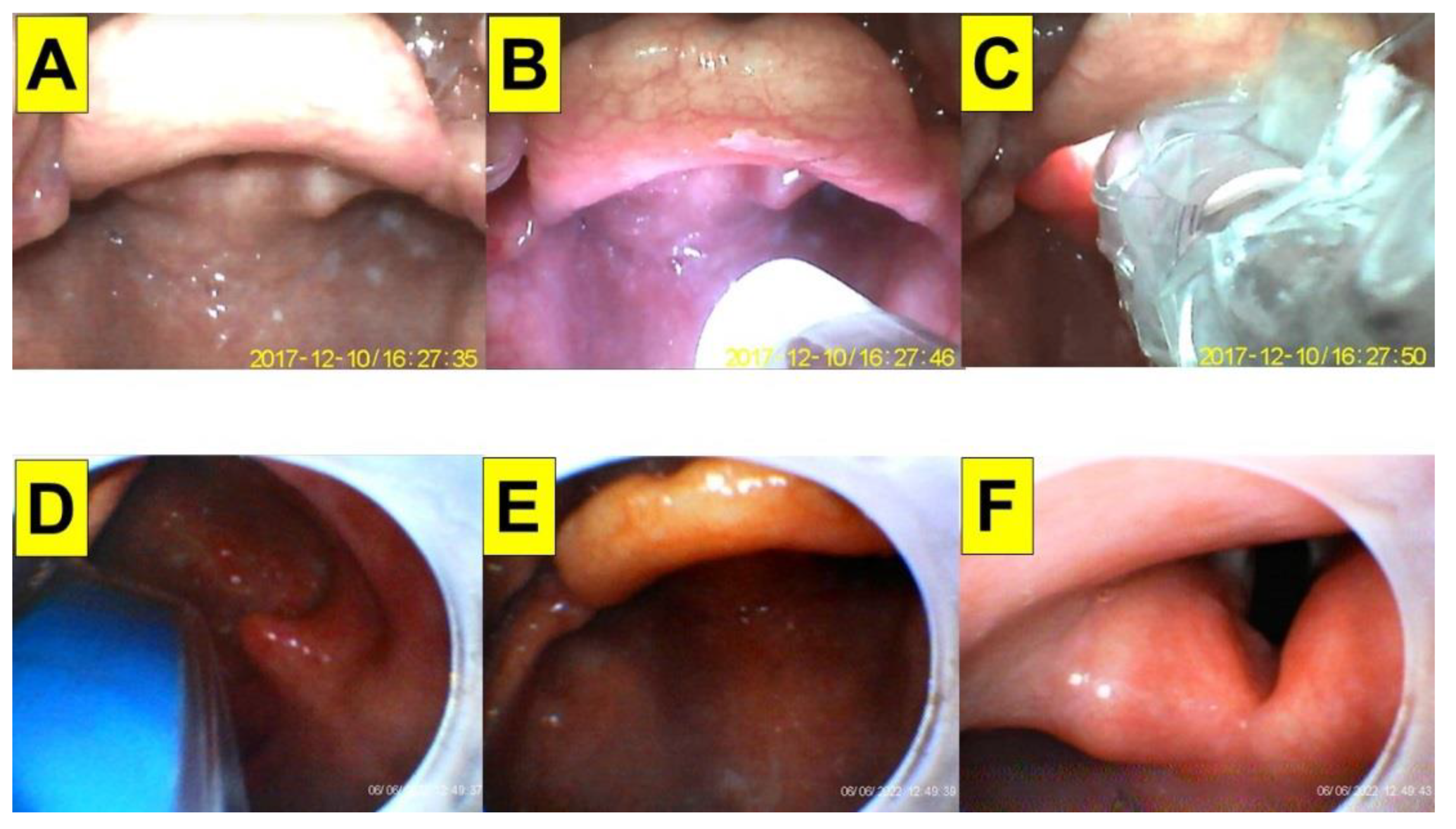 Healthcare 10 02175 g005