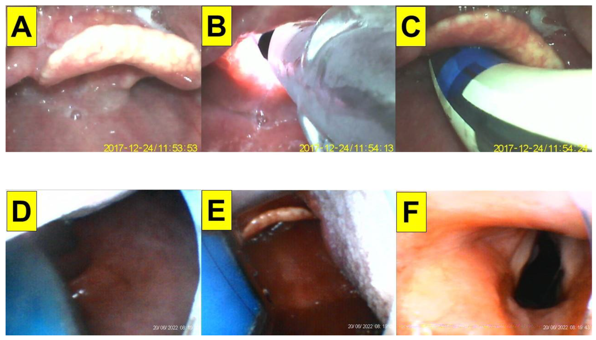 Healthcare 10 02175 g006