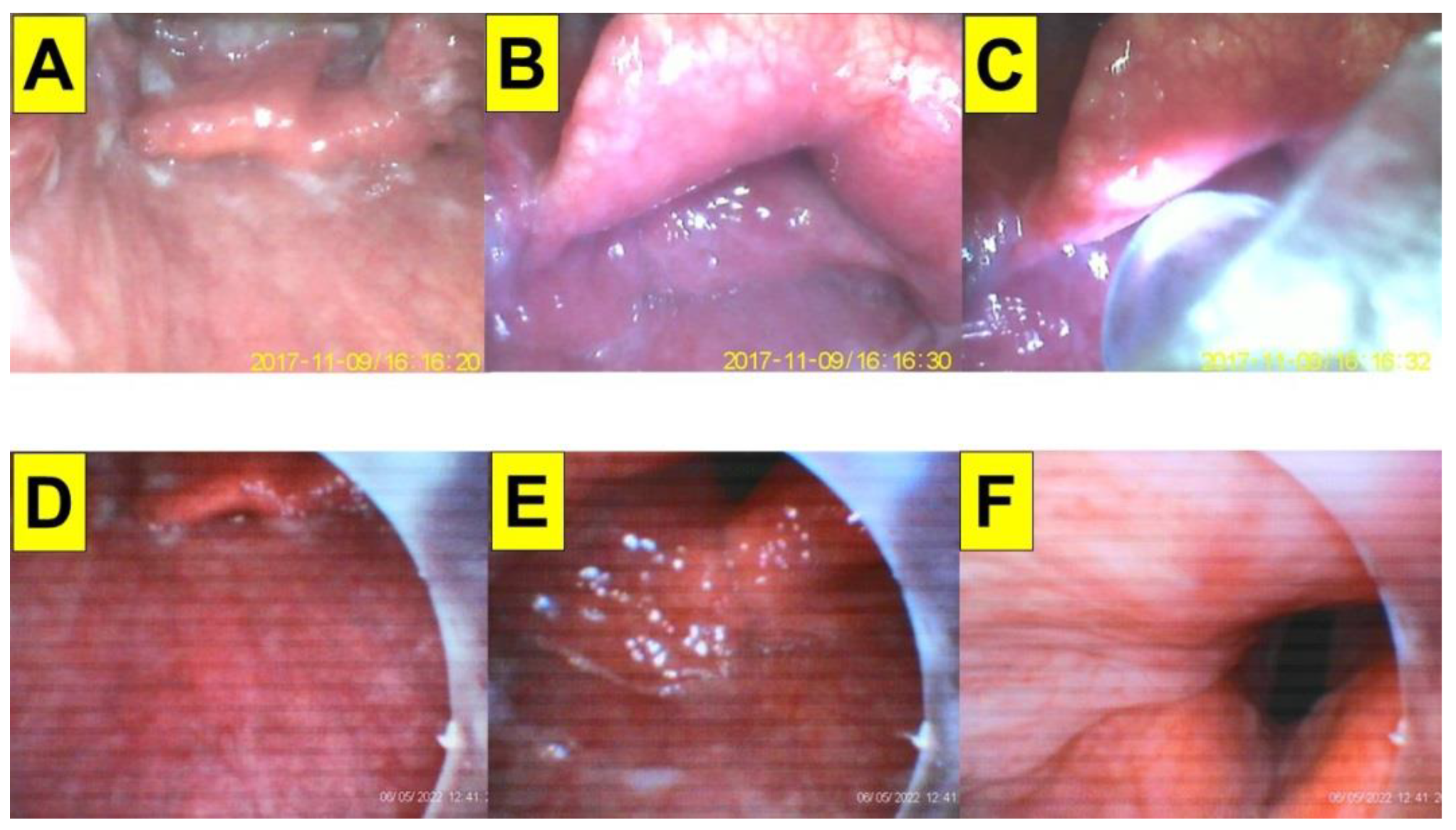 Healthcare 10 02175 g008