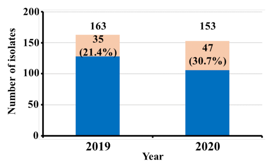 Healthcare 10 02210 g001