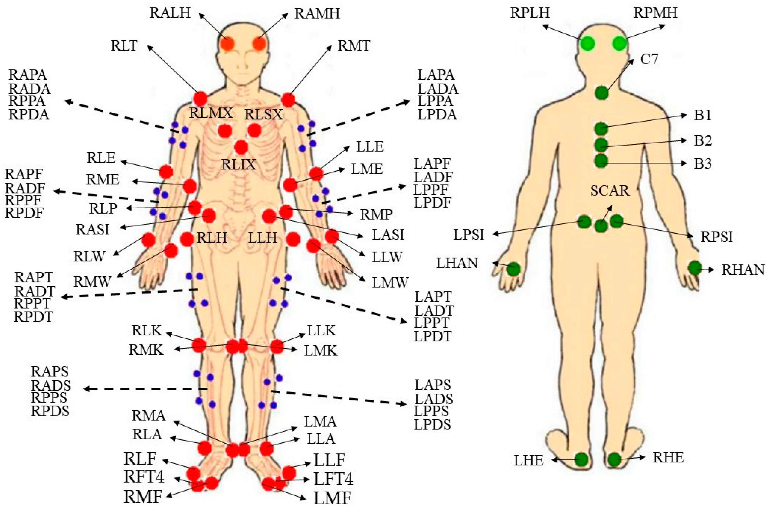 PDF) Differences in loaded and unloaded vertical jumping ability