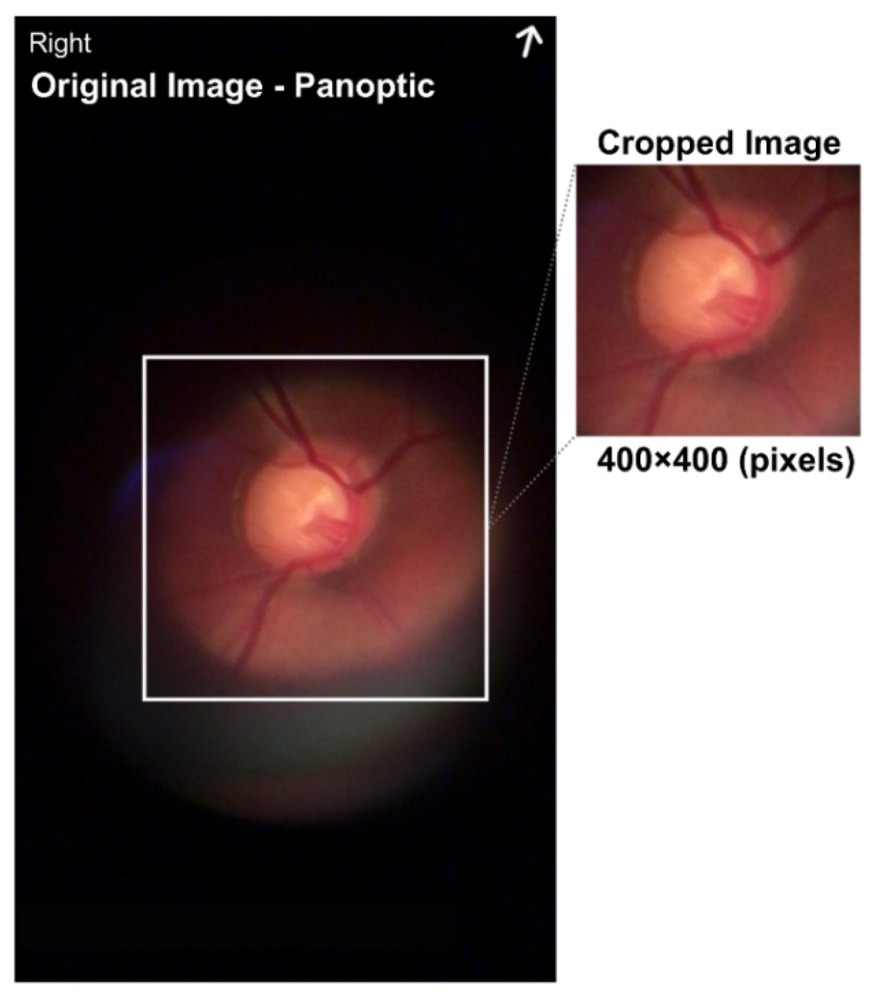 Healthcare 10 02345 g004