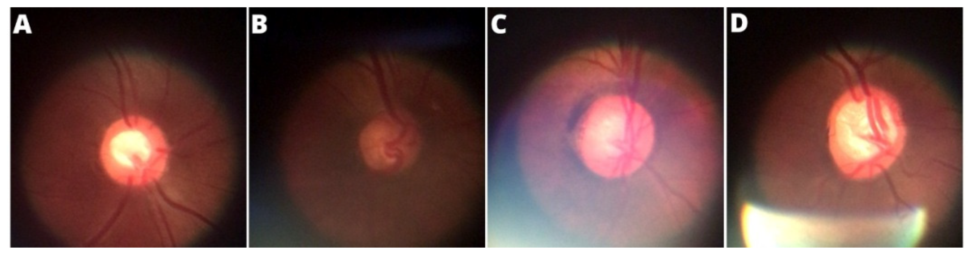 Healthcare 10 02345 g007