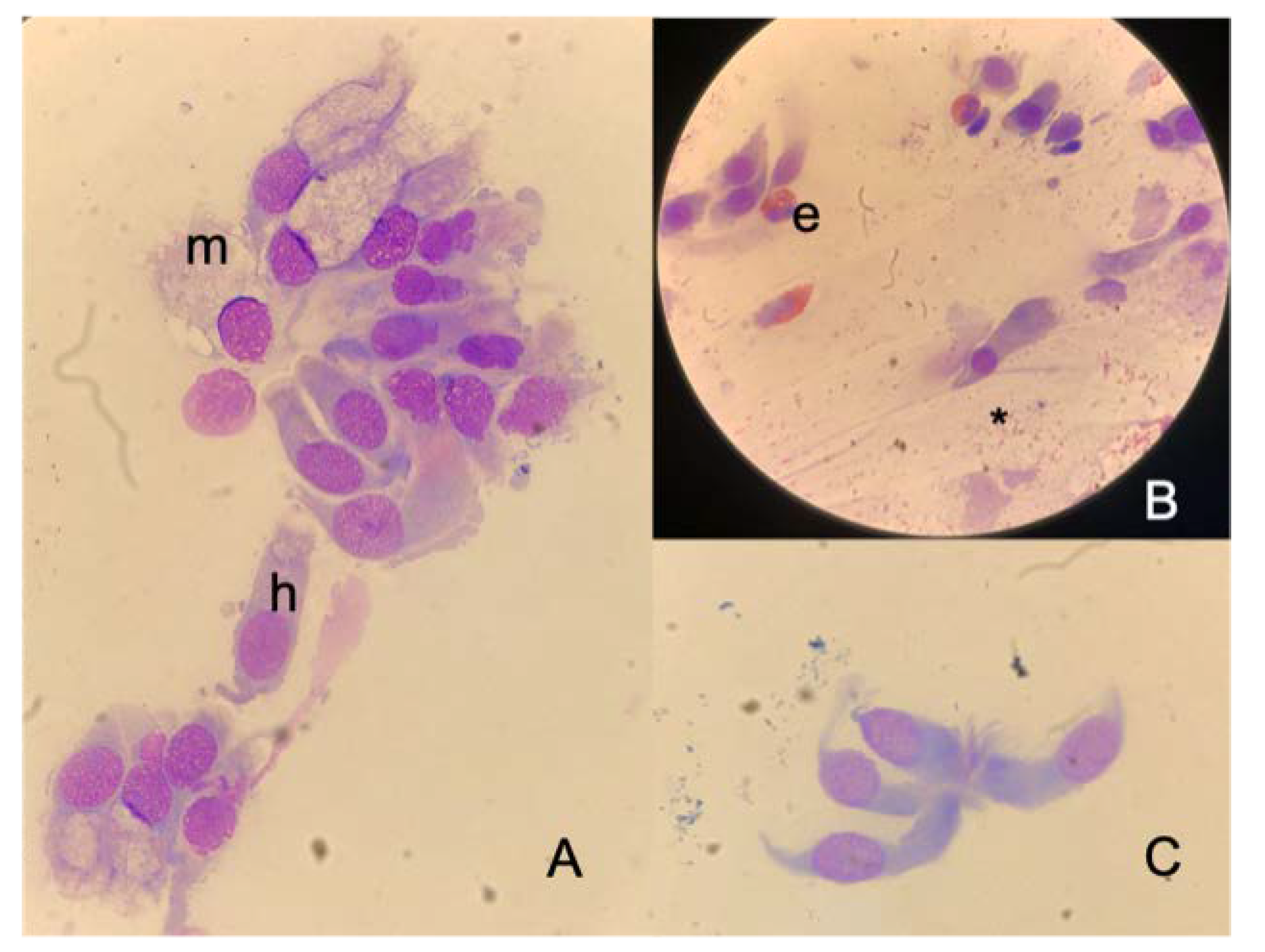 Healthcare 10 02365 g003