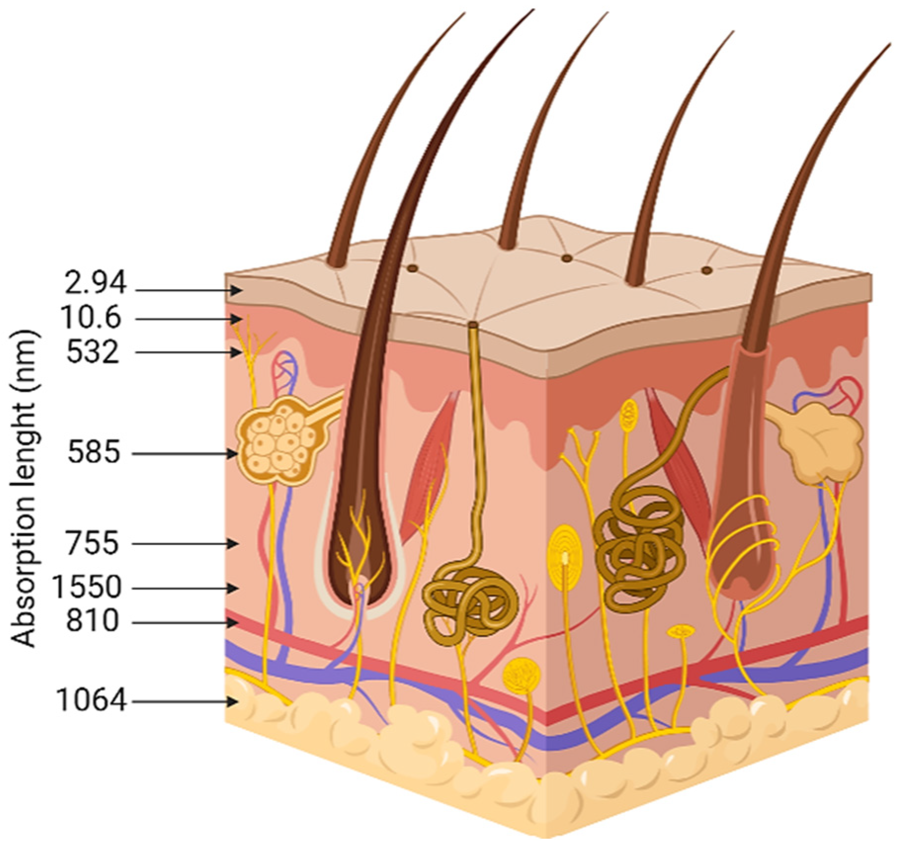 Healthcare 10 02372 g002