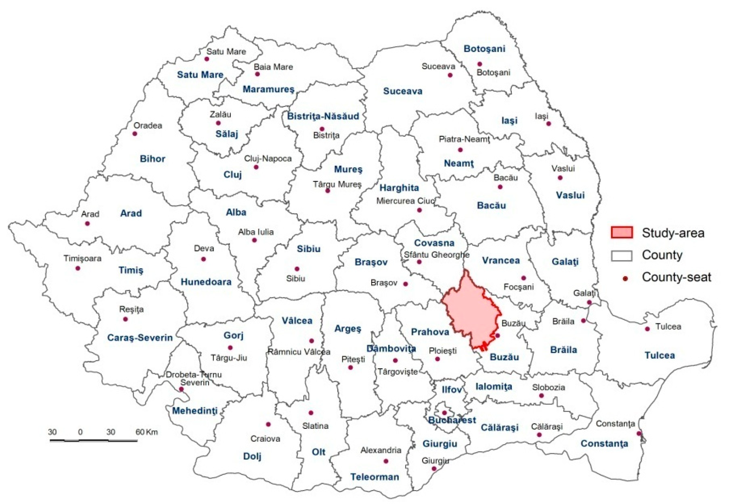 Healthcare 10 02392 g001