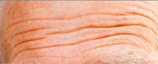 Healthcare 10 02396 i007