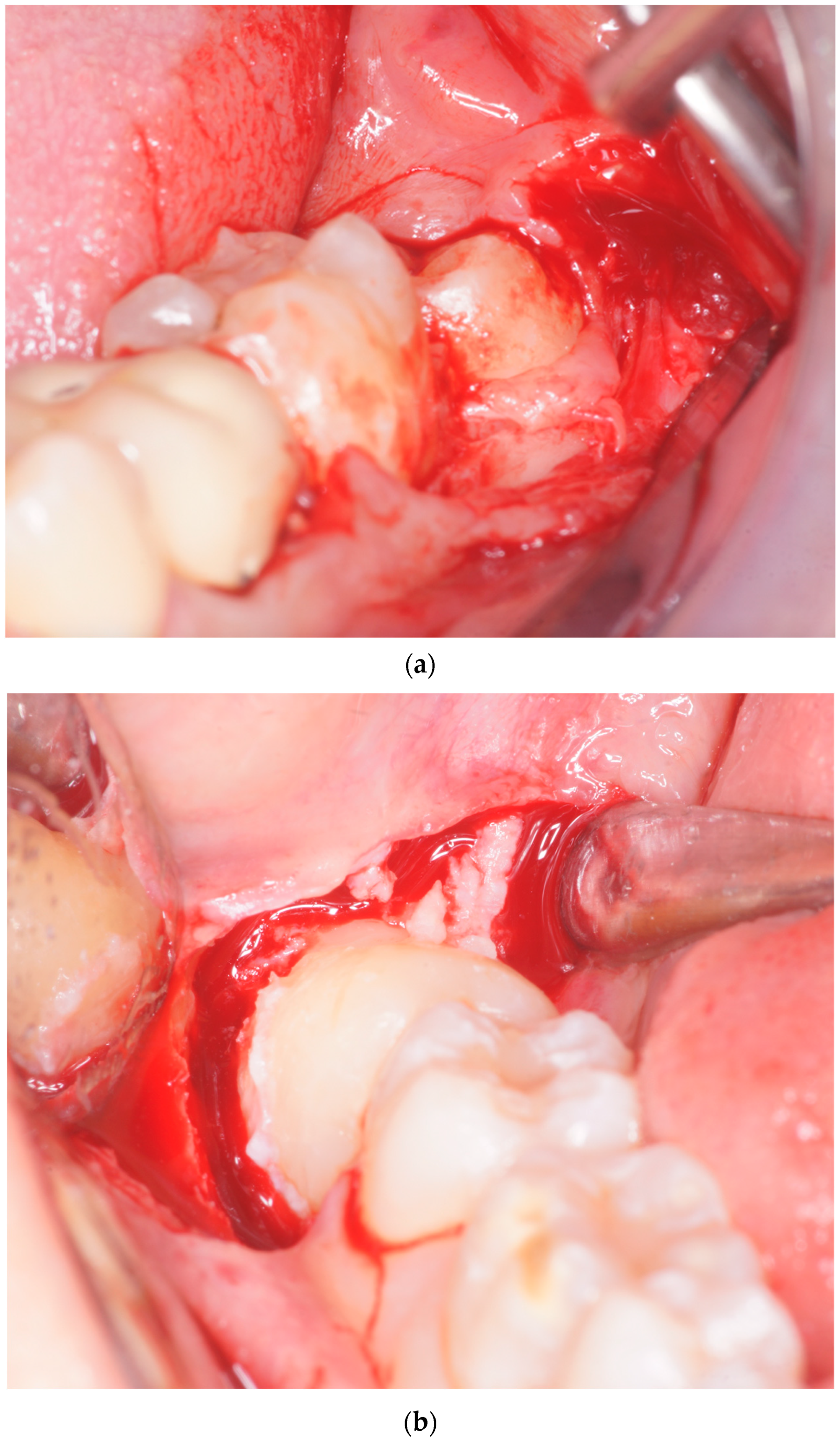 Healthcare 10 02410 g001