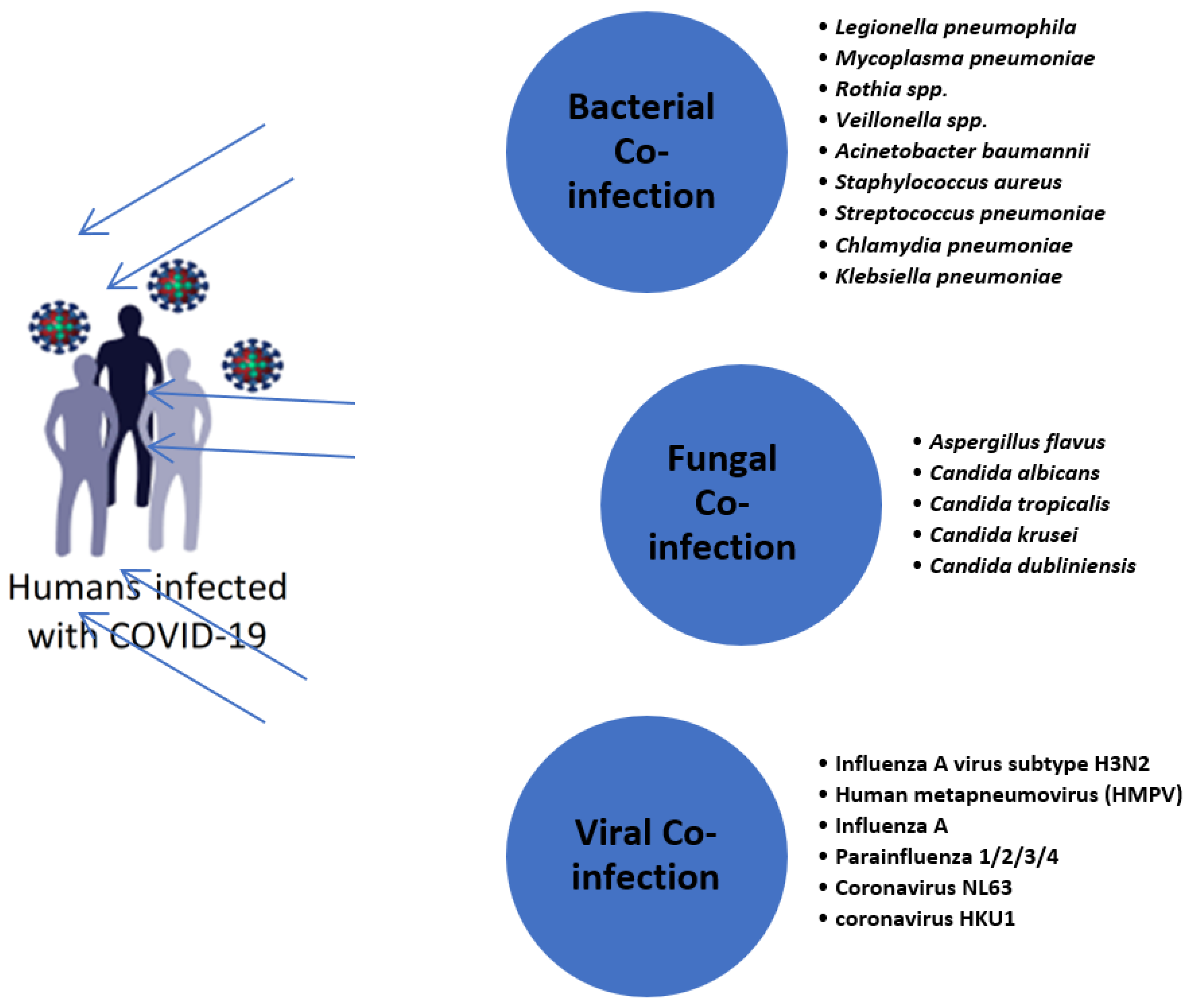 Healthcare 10 02412 g002 Healthcare 10 02412 g002