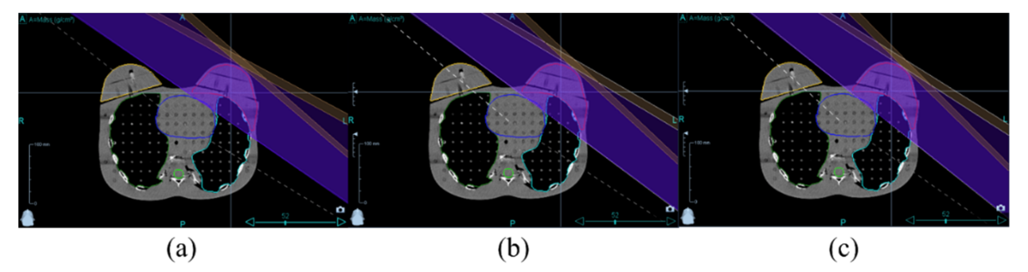 Healthcare 10 02431 g002