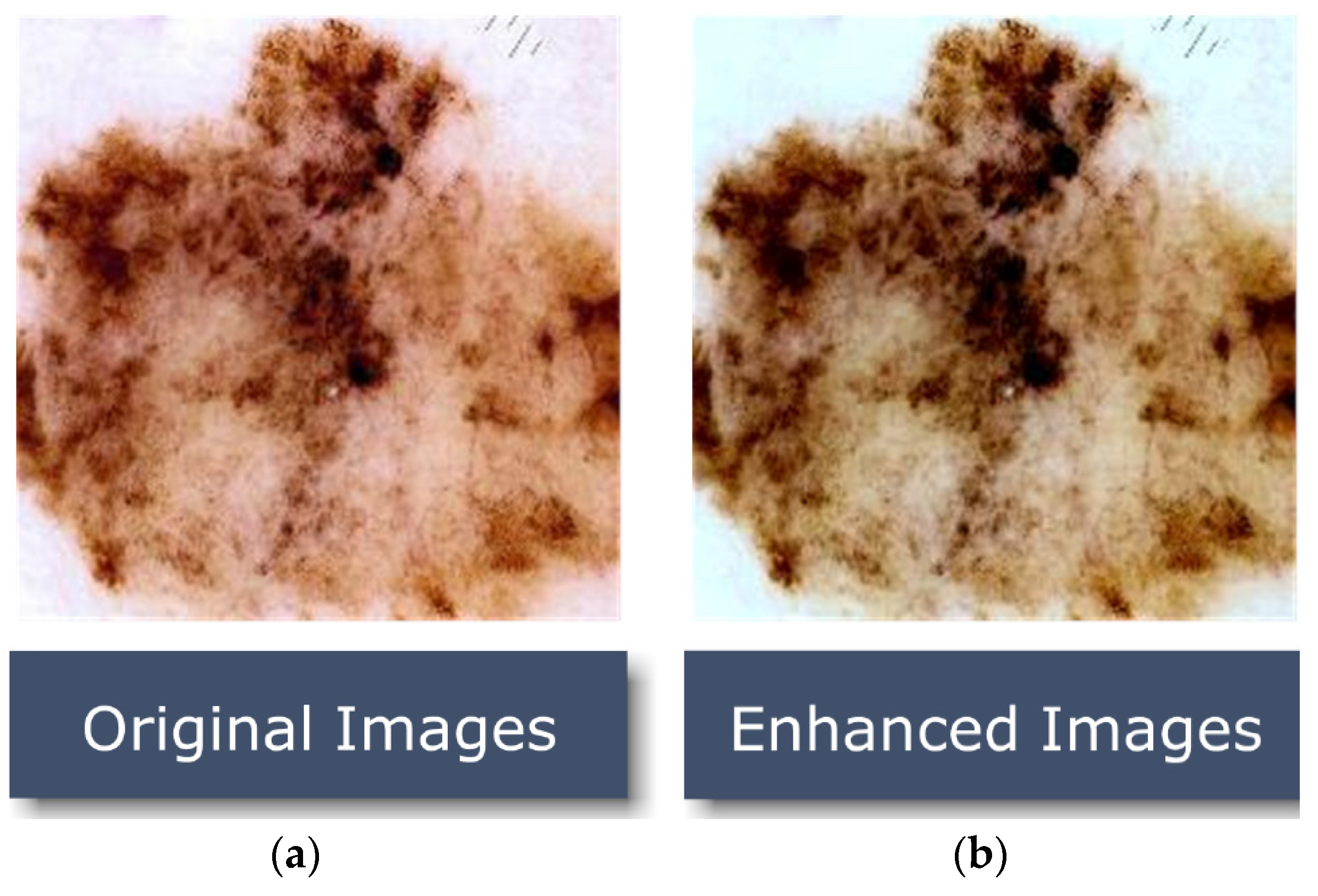 Healthcare 10 02481 g004 Healthcare 10 02481 g004