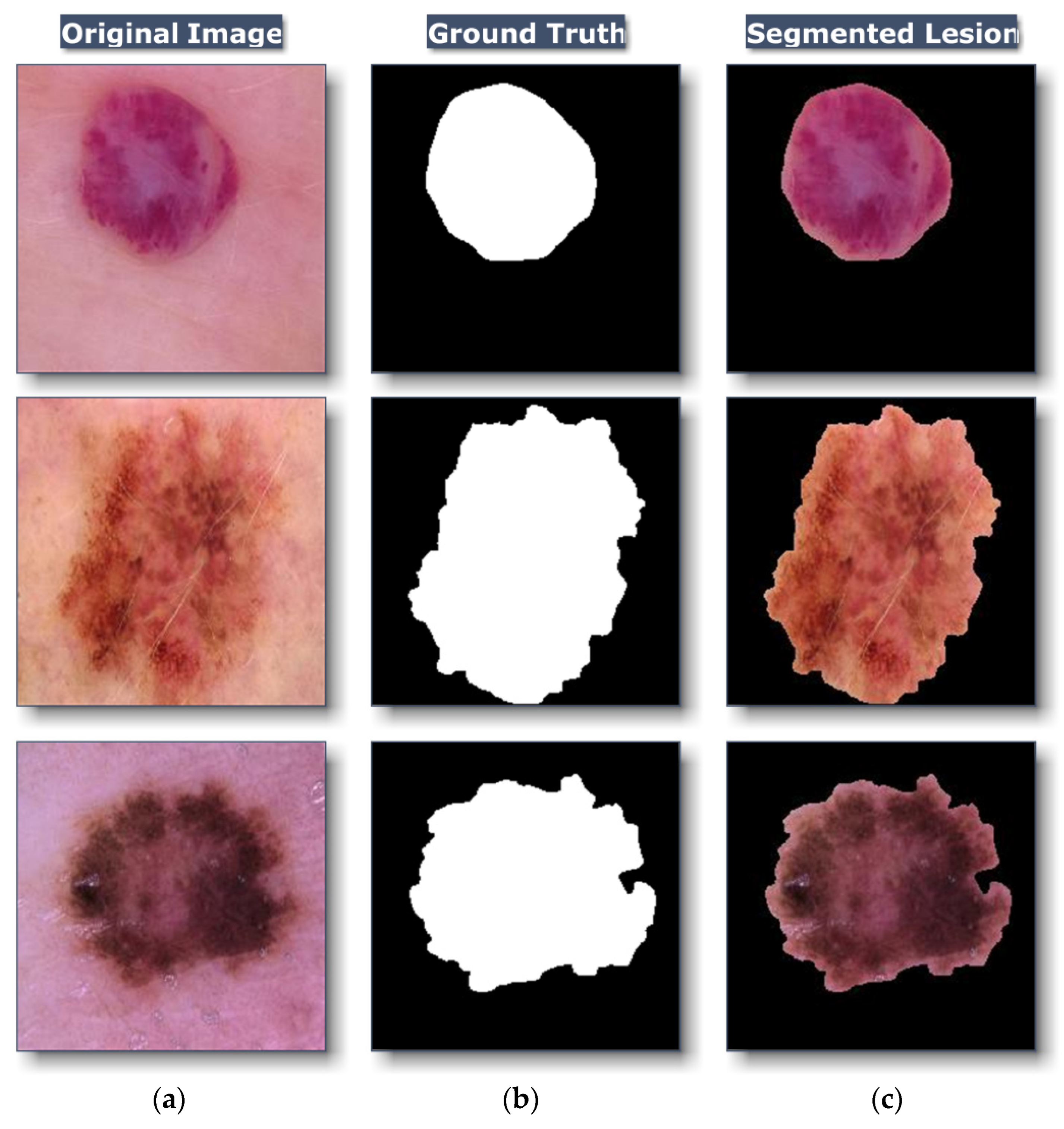 Healthcare 10 02481 g005 Healthcare 10 02481 g005