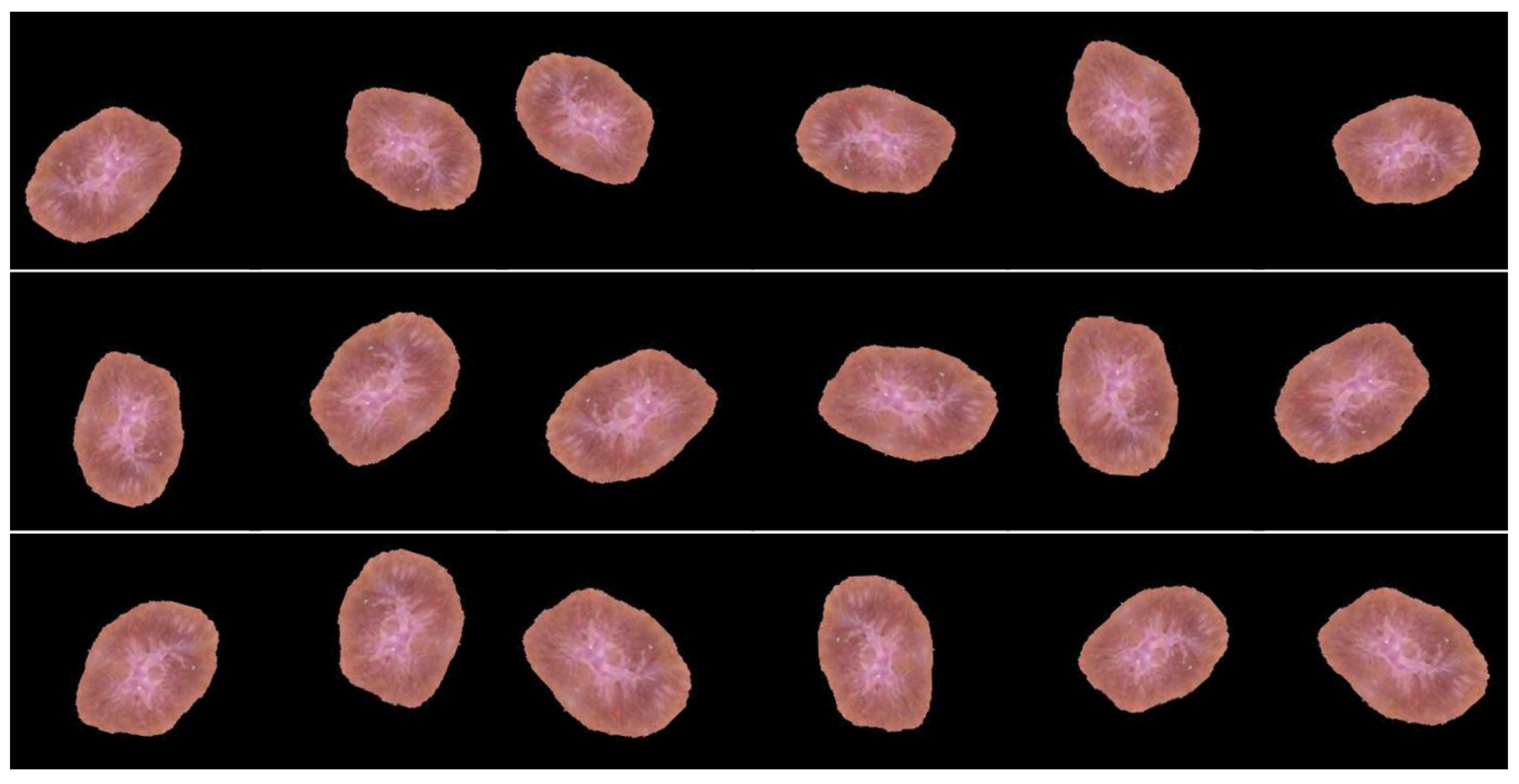 Healthcare 10 02481 g006 Healthcare 10 02481 g006