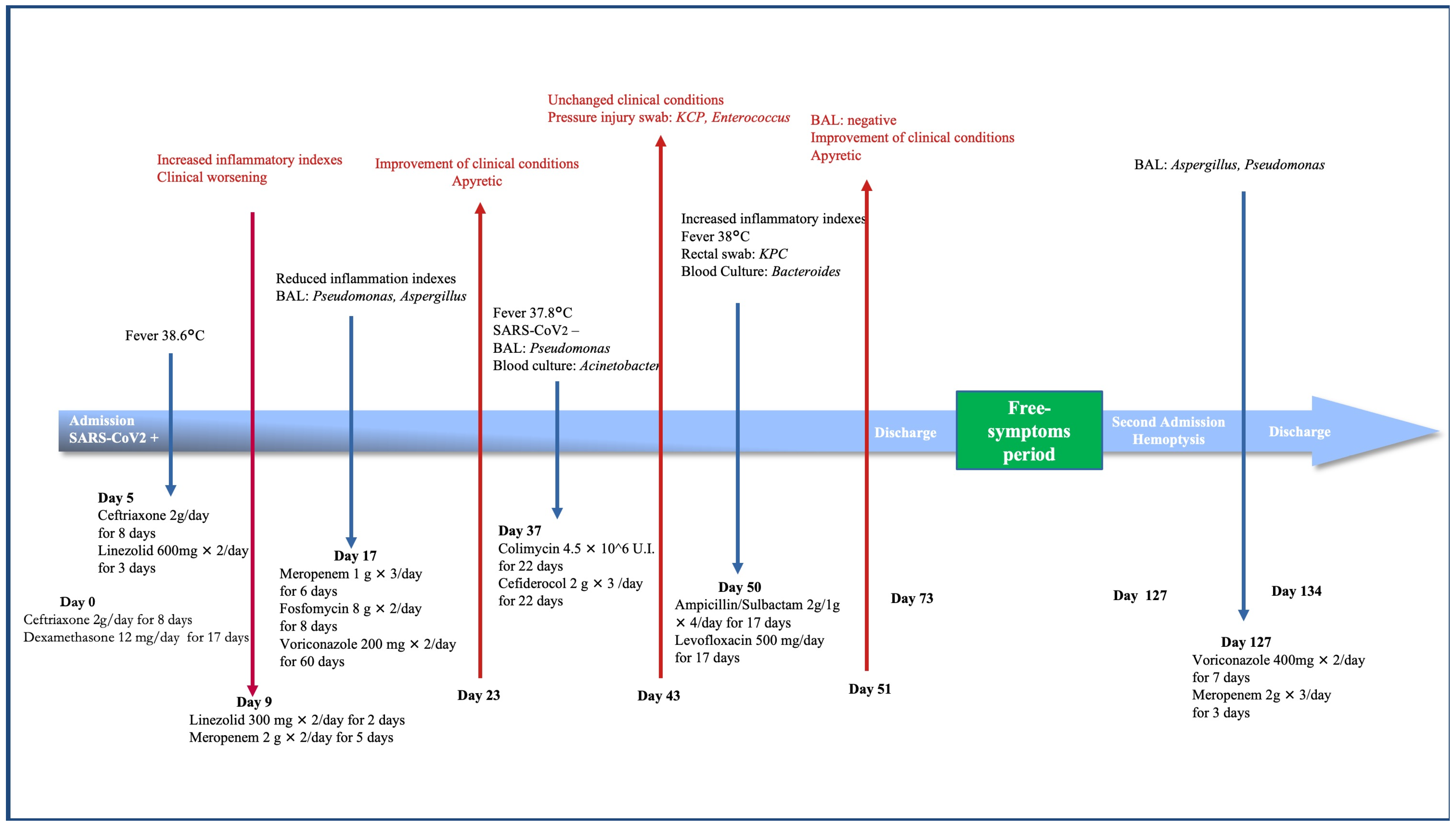 Healthcare 10 02483 g001