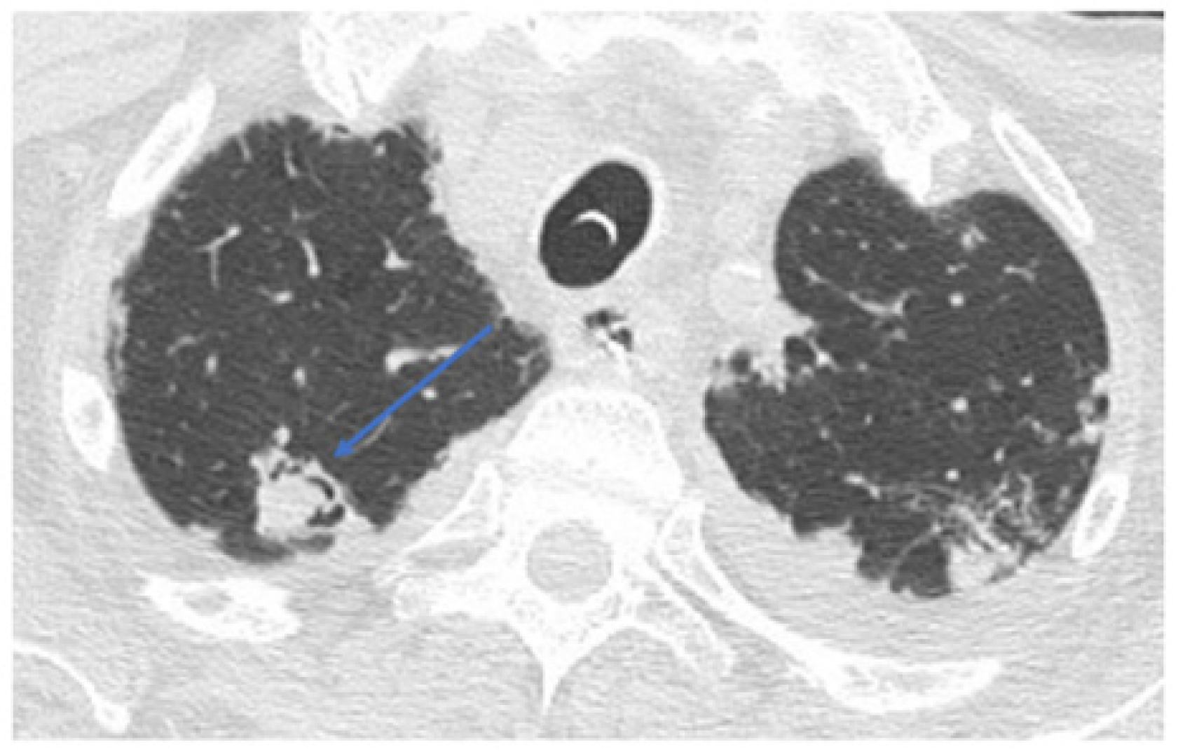 Healthcare 10 02483 g004