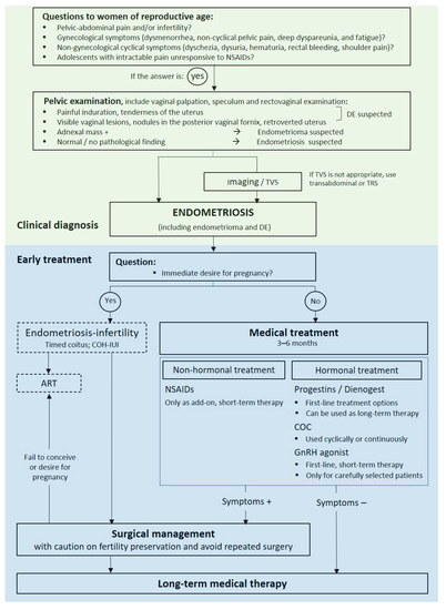 Endometriosis Yale: Expert Treatment & Care
