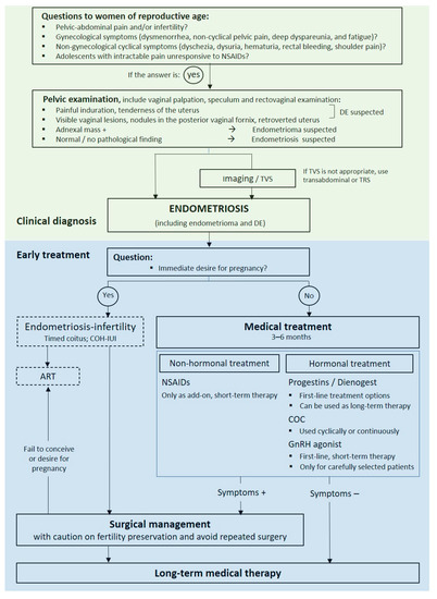 Endometriosis Diagnosis, Treatment Could Be Improved By Targeting