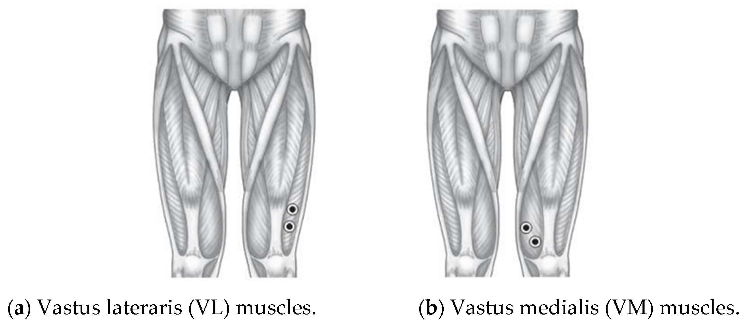 Healthcare 10 02544 g005 Healthcare 10 02544 g005