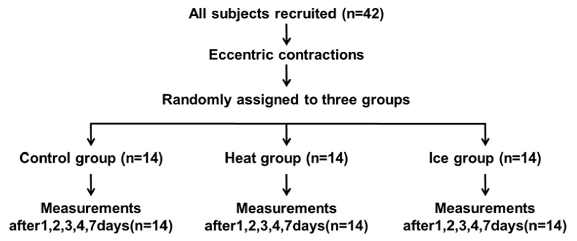 Healthcare 10 02556 g001