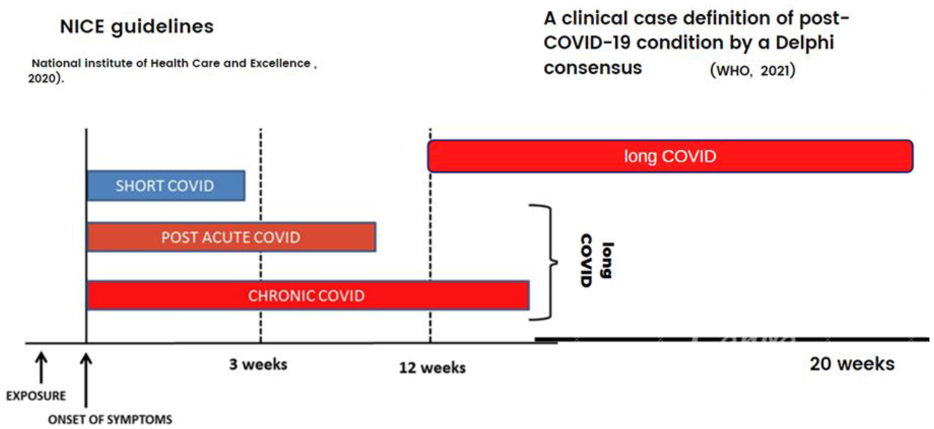 Healthcare Free FullText Most Common Long COVID Physical Symptoms