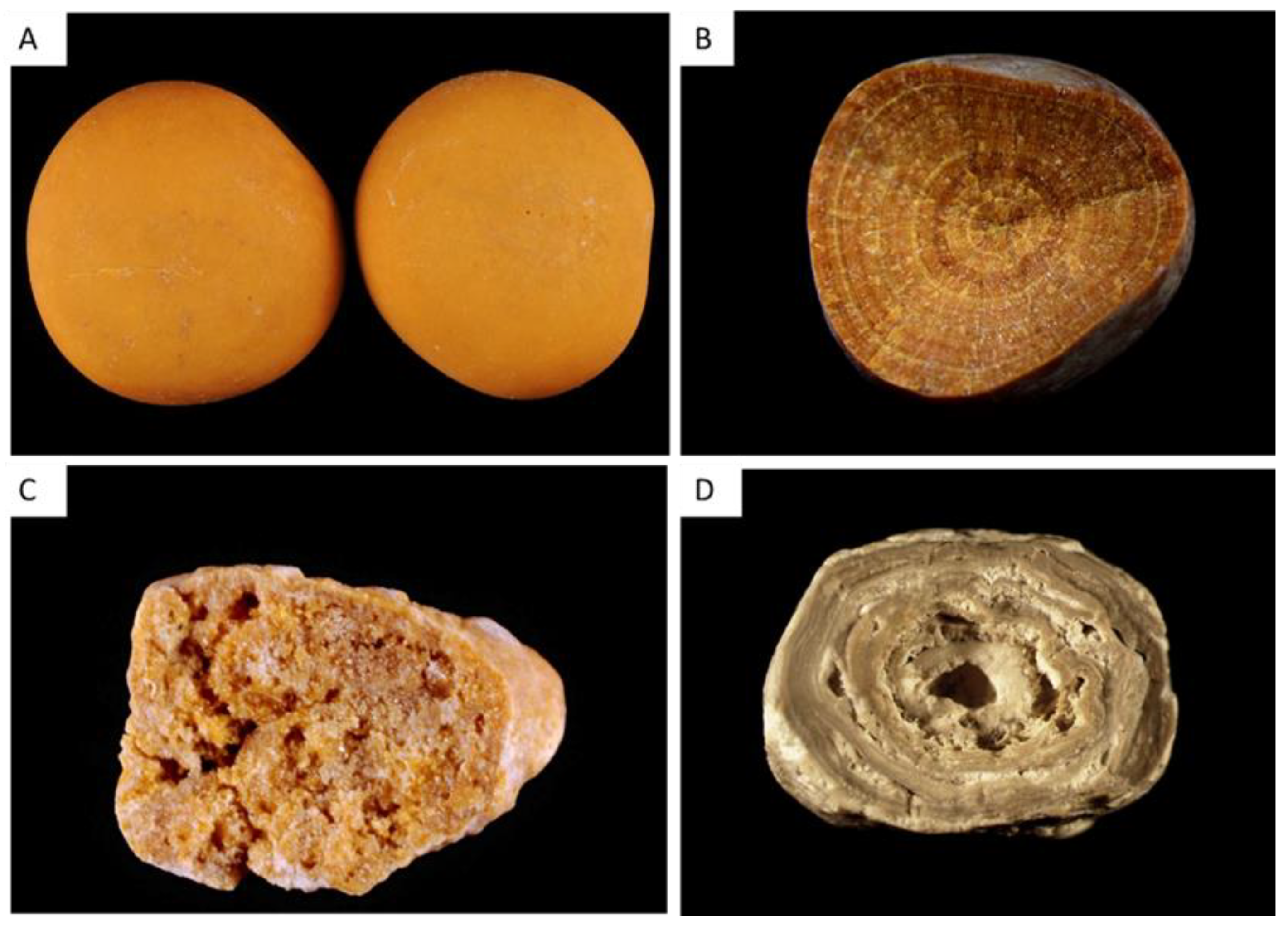 Healthcare 11 00002 g003