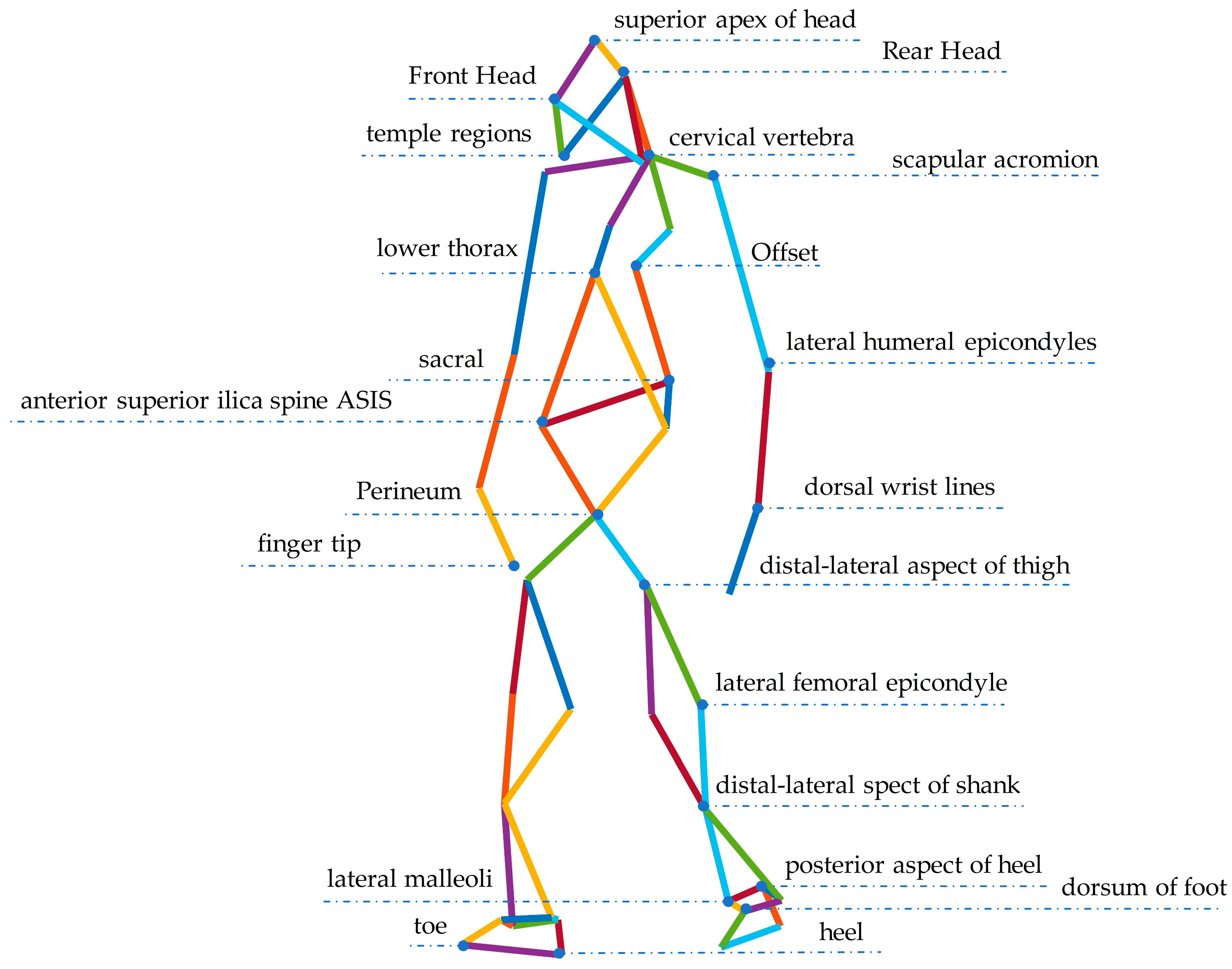 Healthcare 11 00047 g001