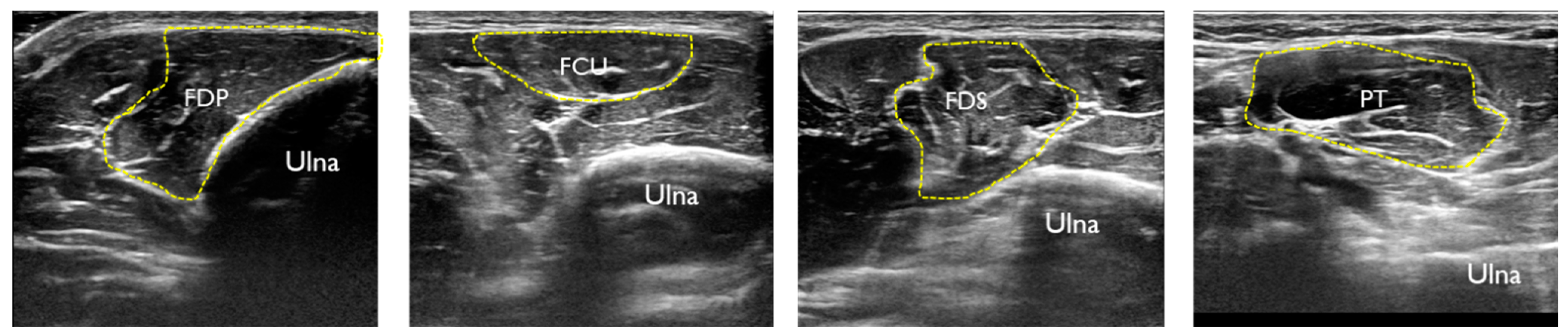 Healthcare 11 00050 g002
