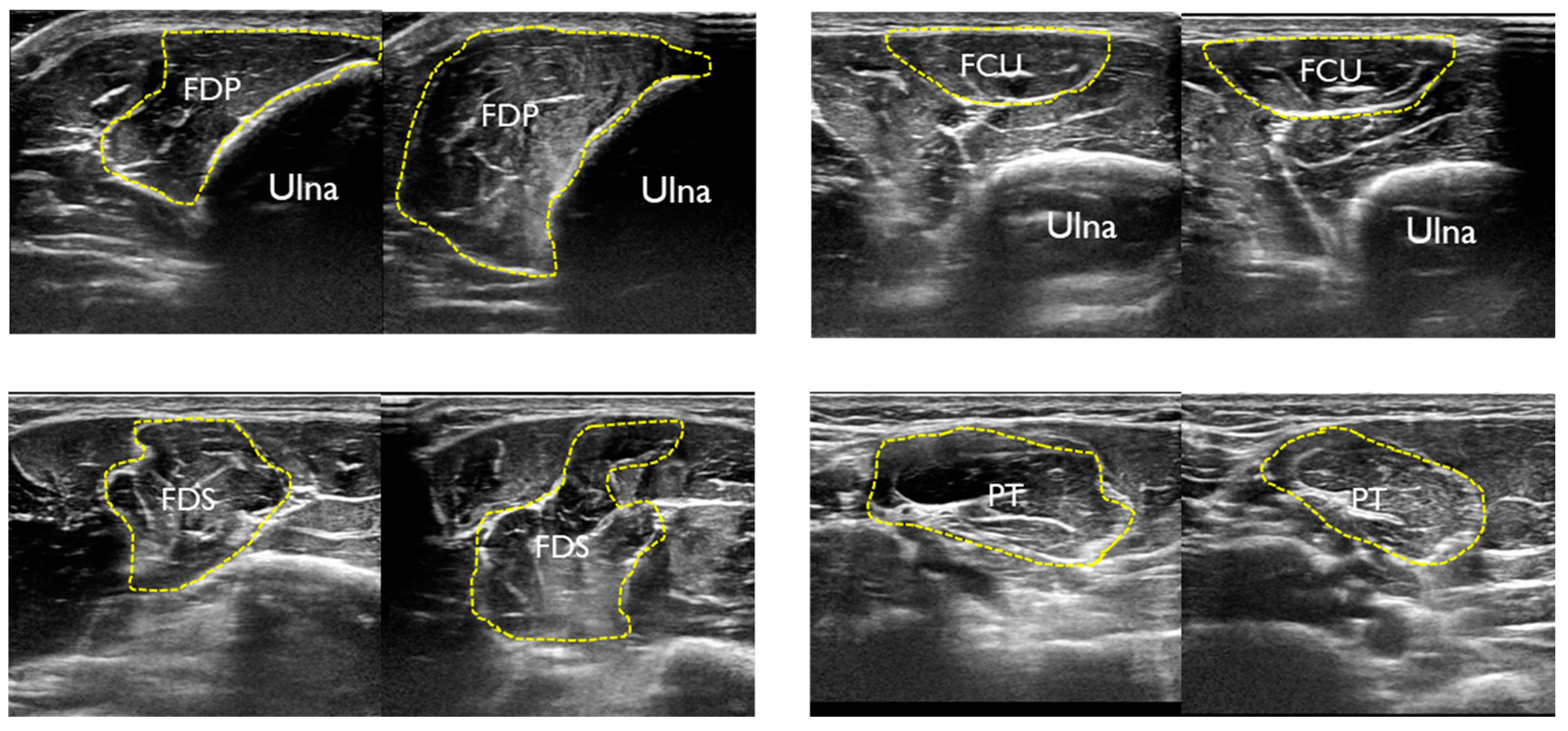 Healthcare 11 00050 g003