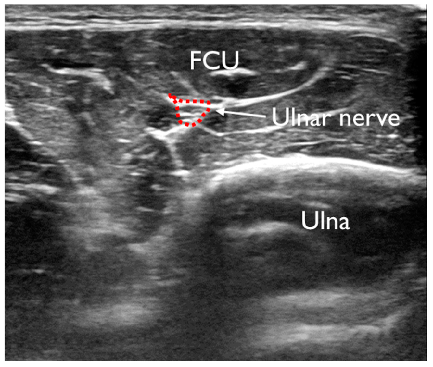 Healthcare 11 00050 g004