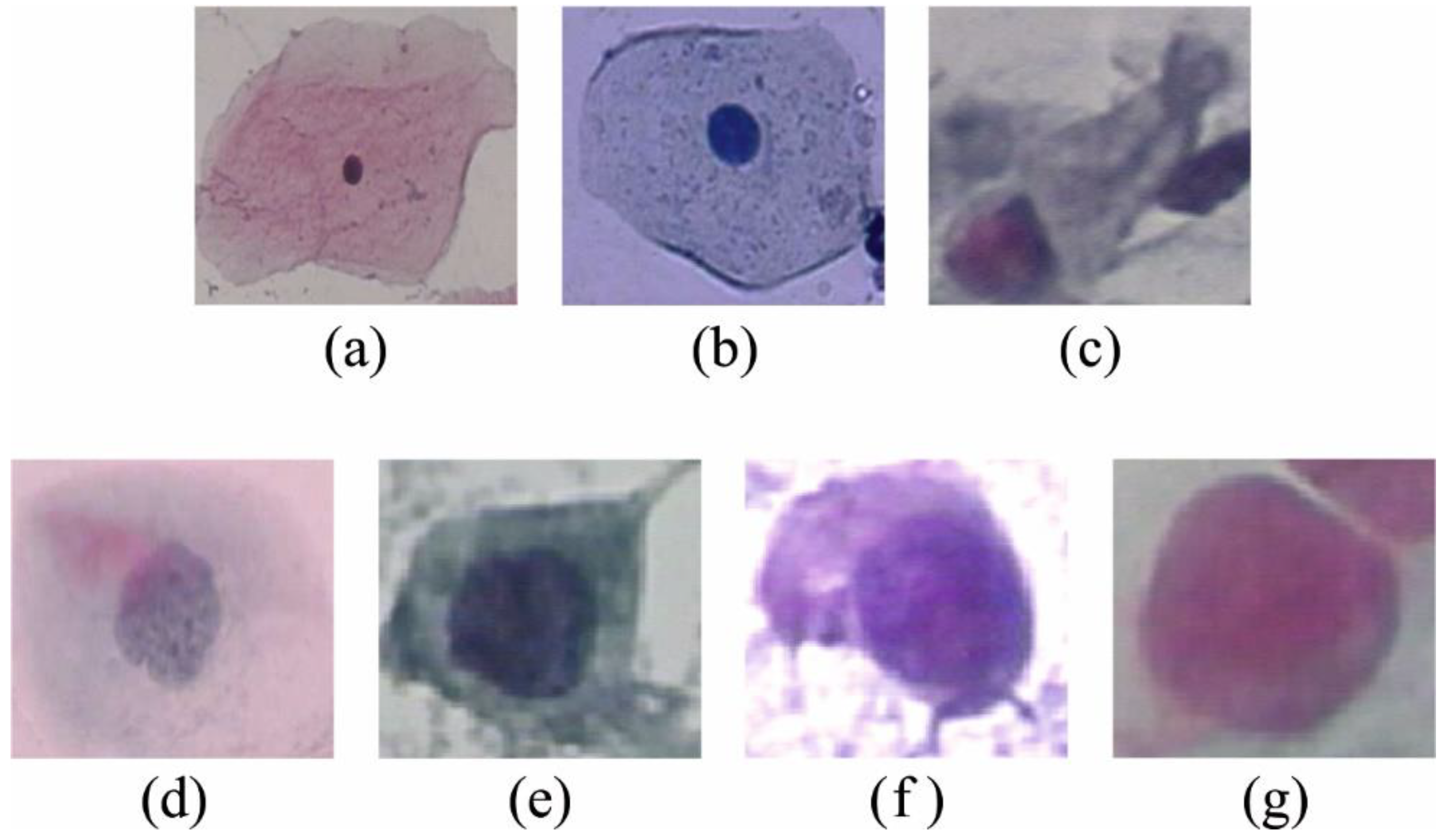 Healthcare 11 00055 g003