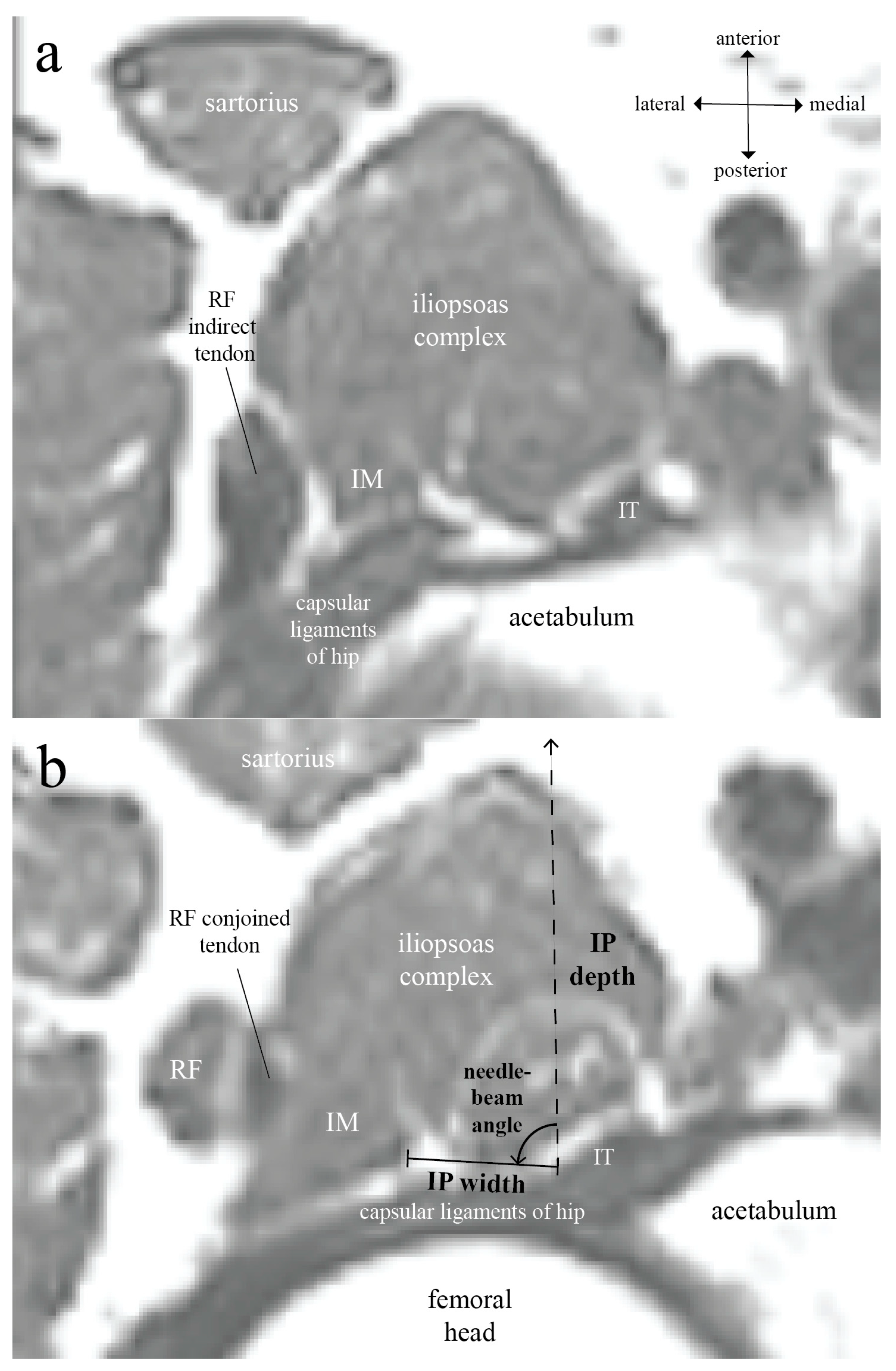 Healthcare 11 00069 g001